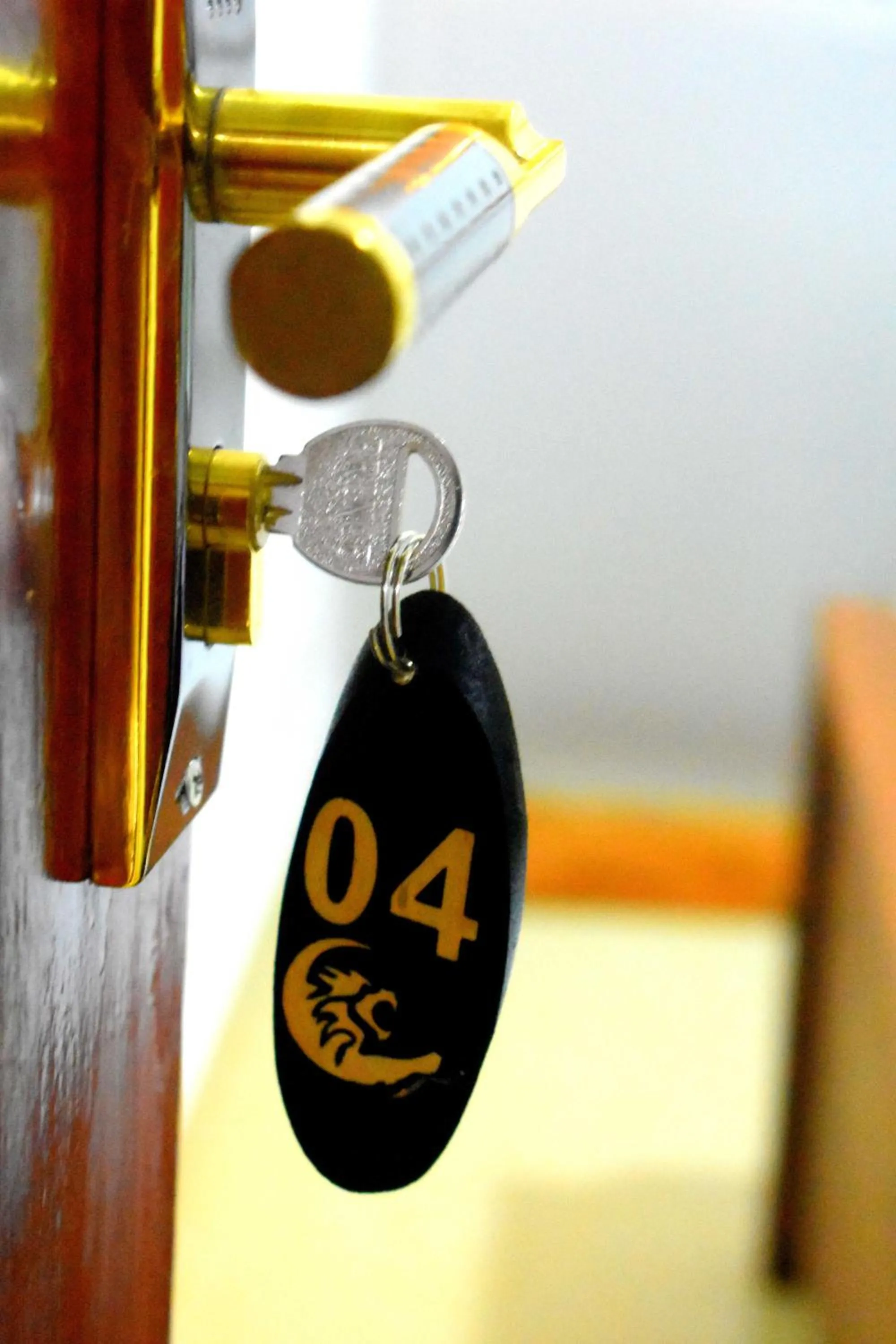 Decorative detail in Leonine Villa Yala