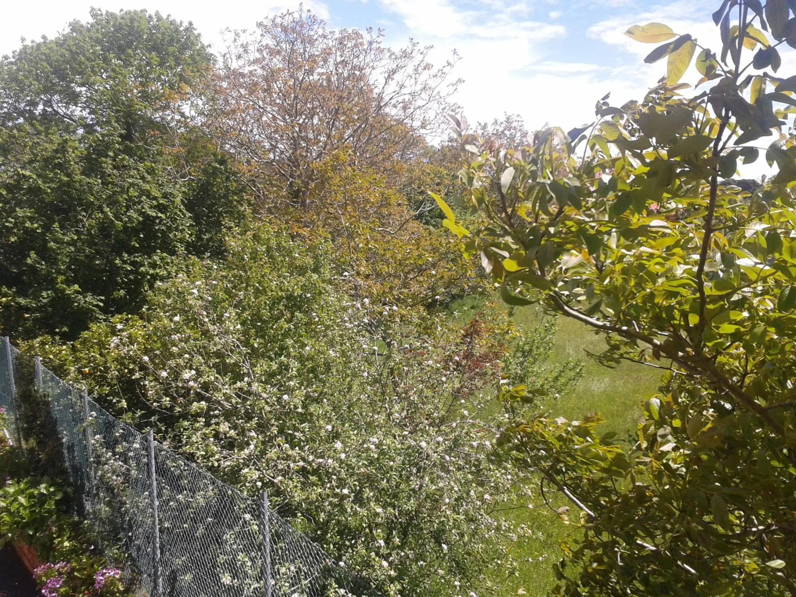 Natural landscape in Hotel Alonso