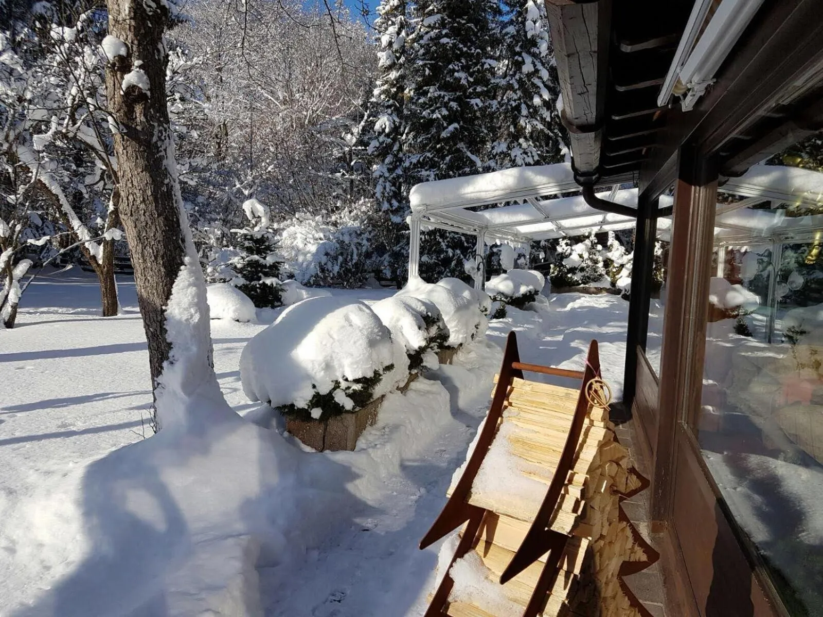 Area and facilities in Alpenhof Grainau