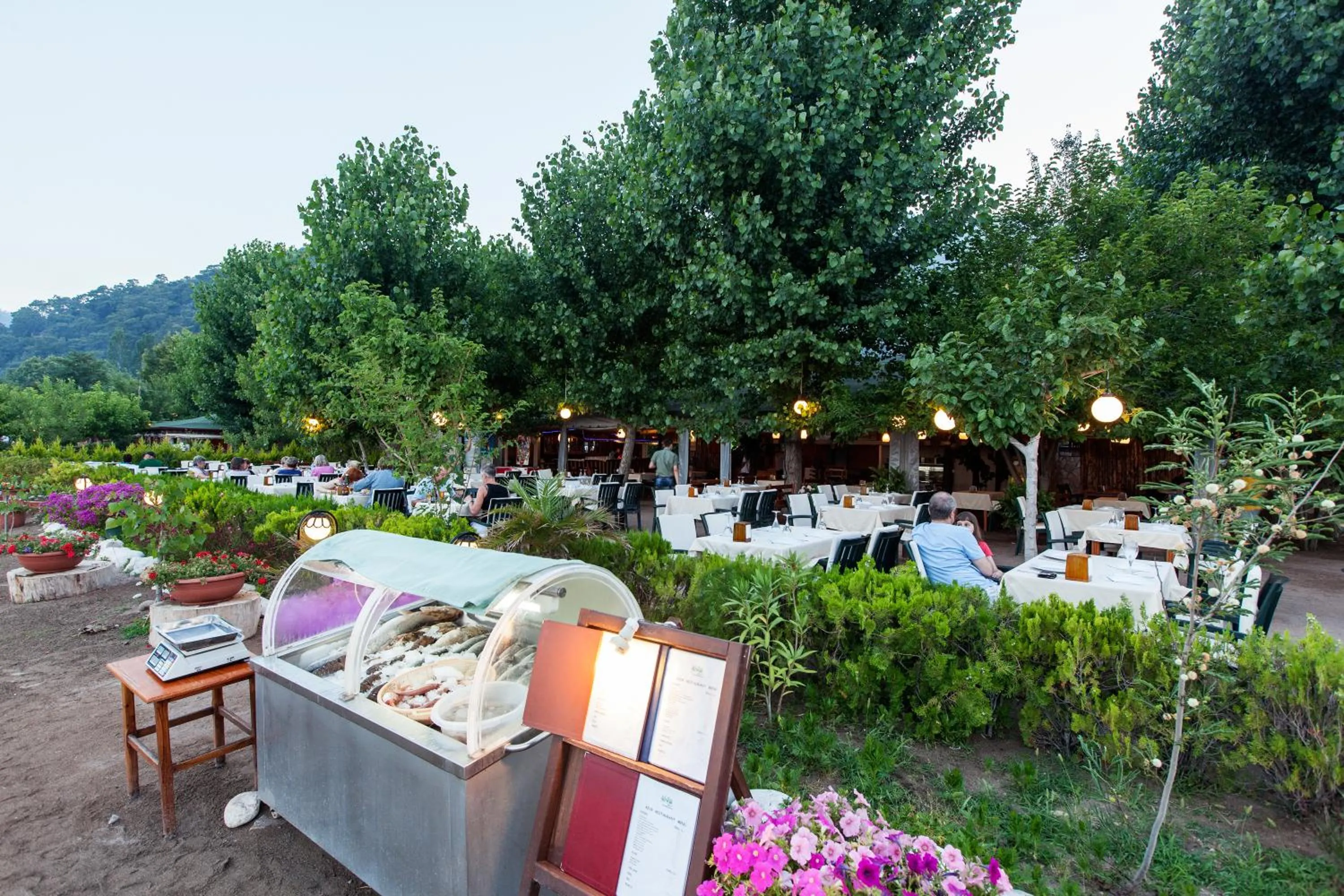 Restaurant/places to eat in Aida Hotel