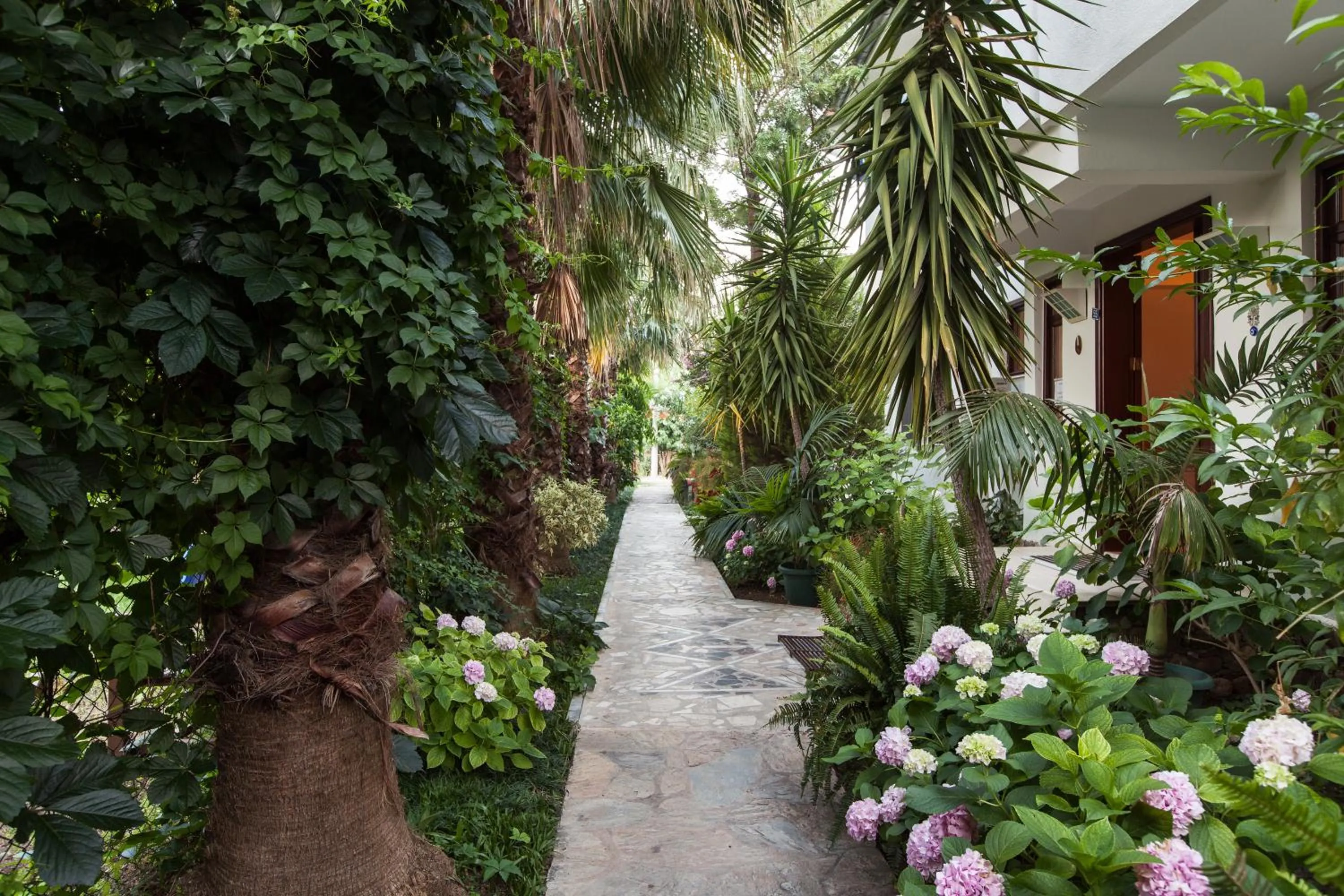 Garden in Aida Hotel