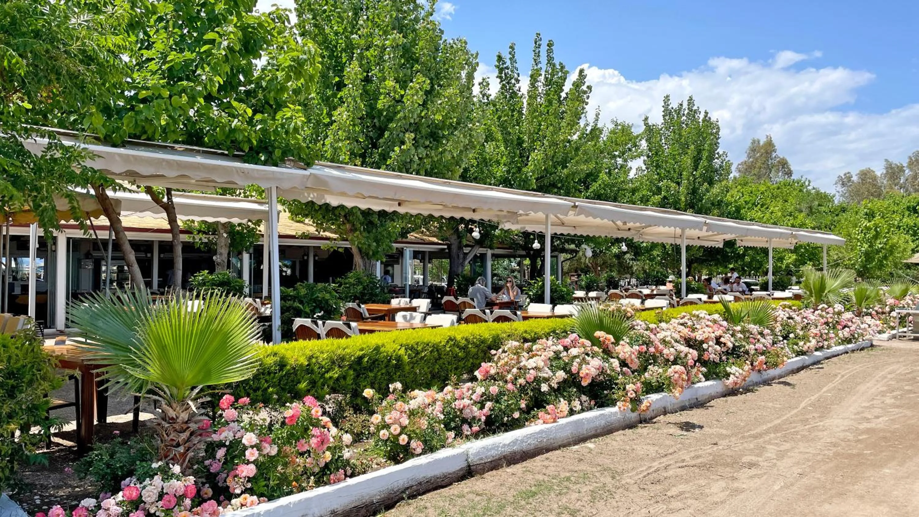 Dining area in Aida Hotel