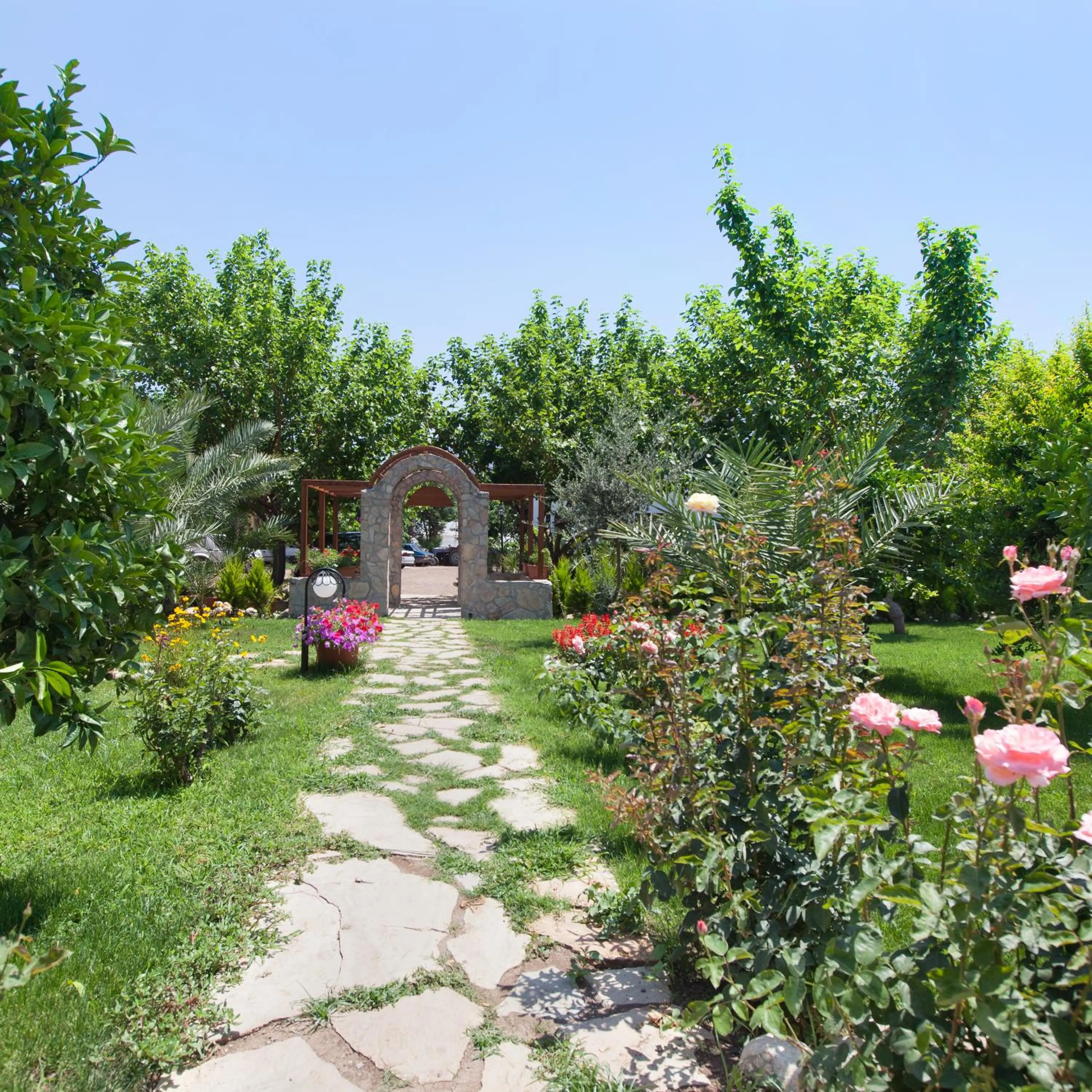 Garden in Aida Hotel
