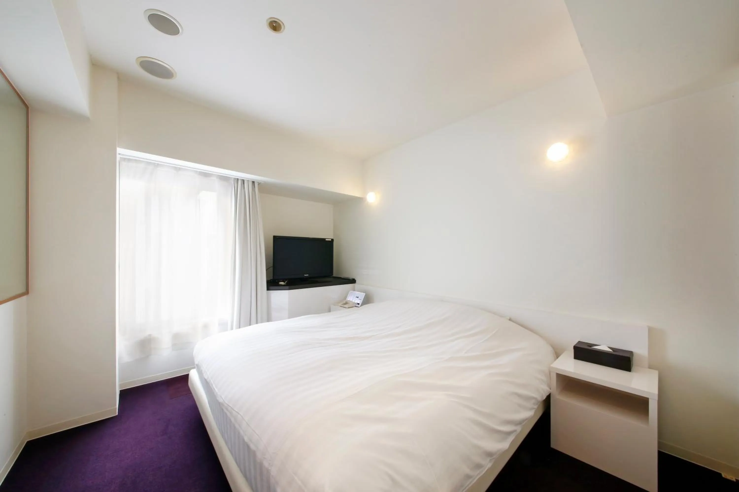 Photo of the whole room in Hotel Annex