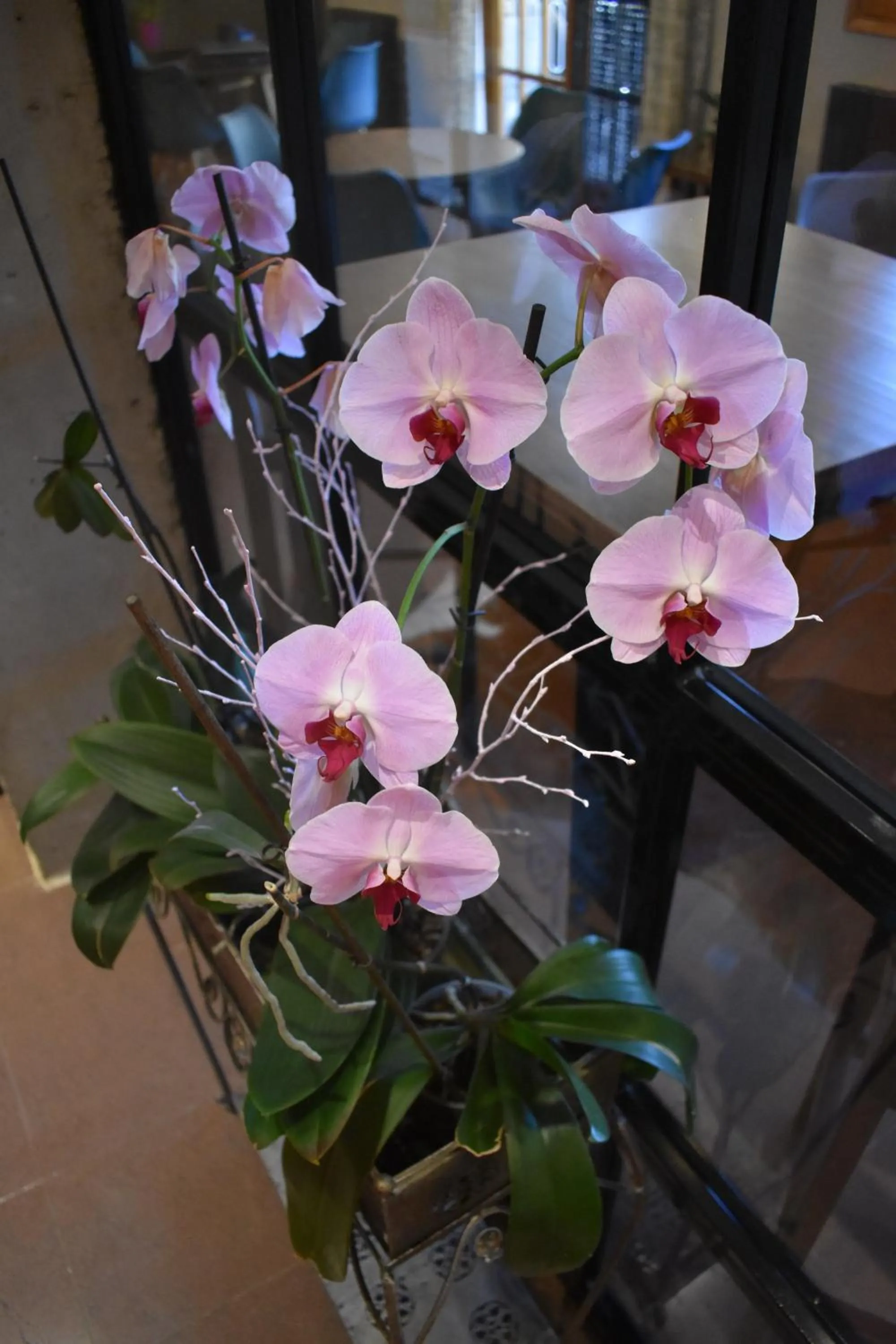 Decorative detail in Hotel Sabocos