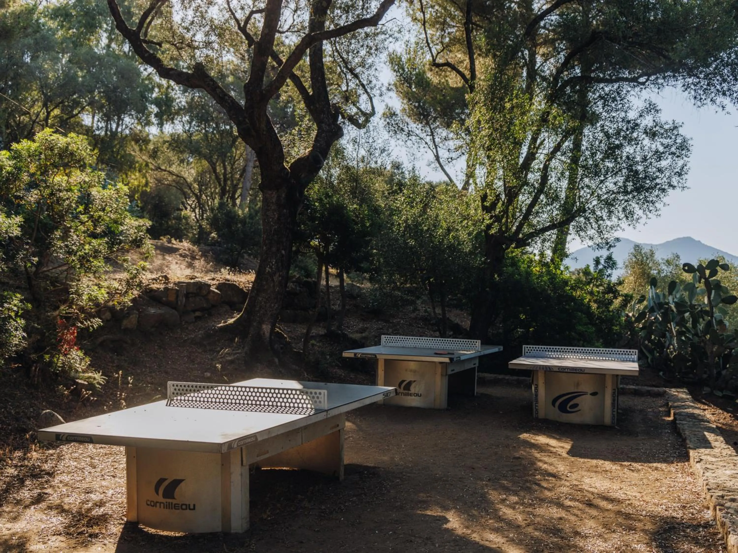 Table tennis in Vigna Maggiore