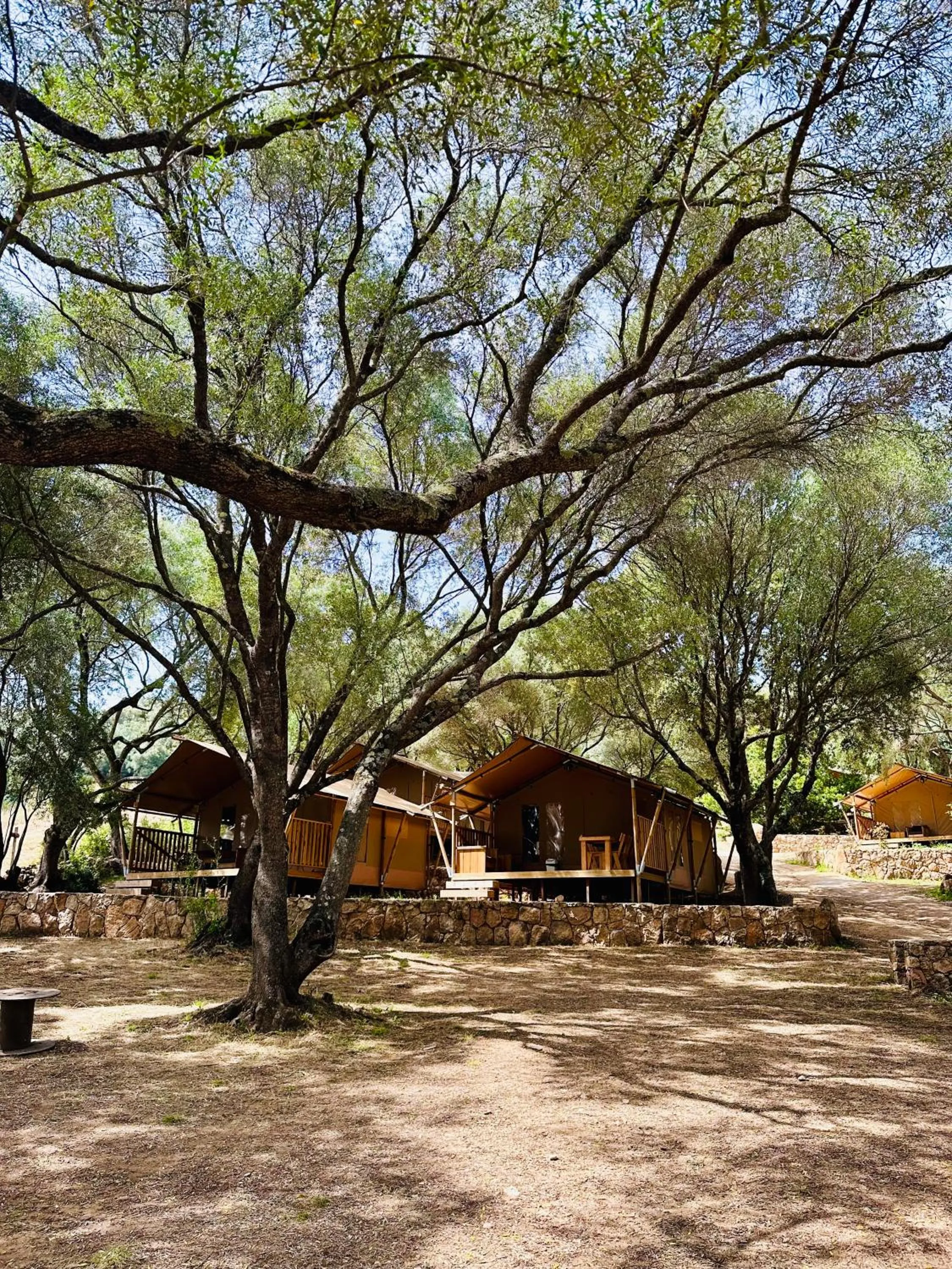 View (from property/room) in Vigna Maggiore