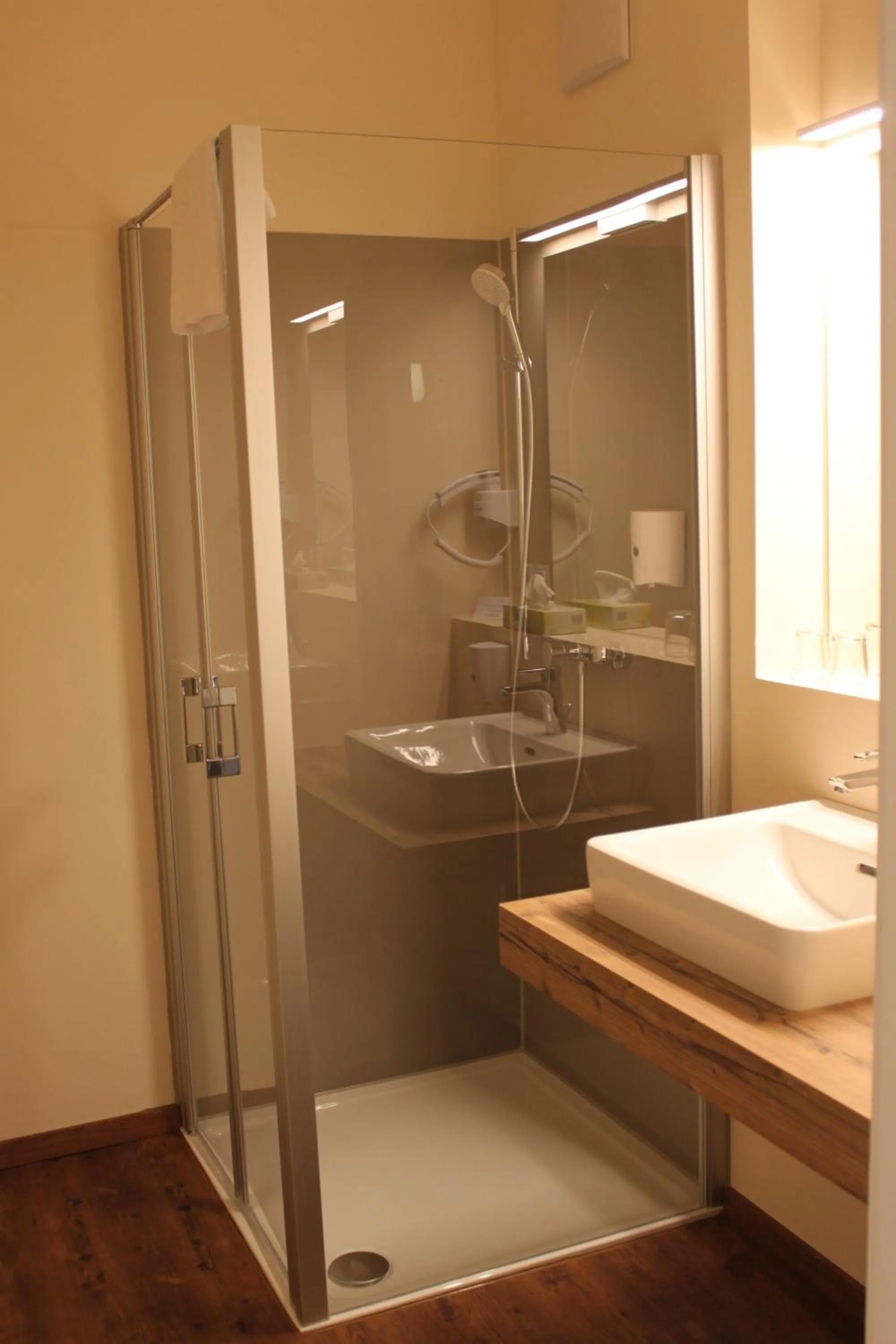 Shower in Hotel Braun