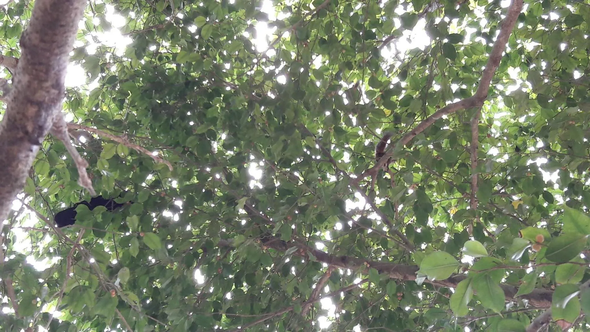 Spring in Amazing Villa