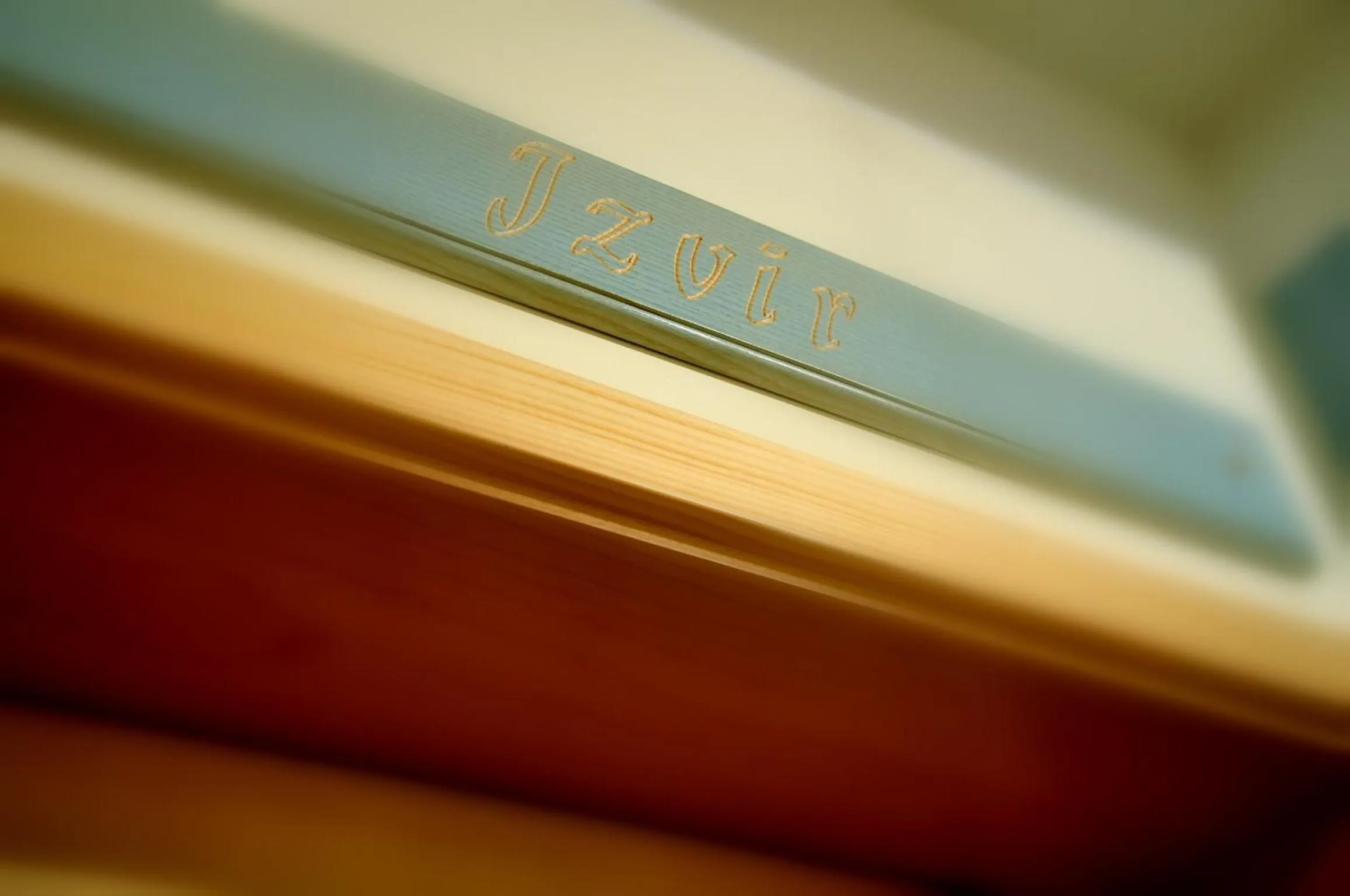 Decorative detail in Natura Amon