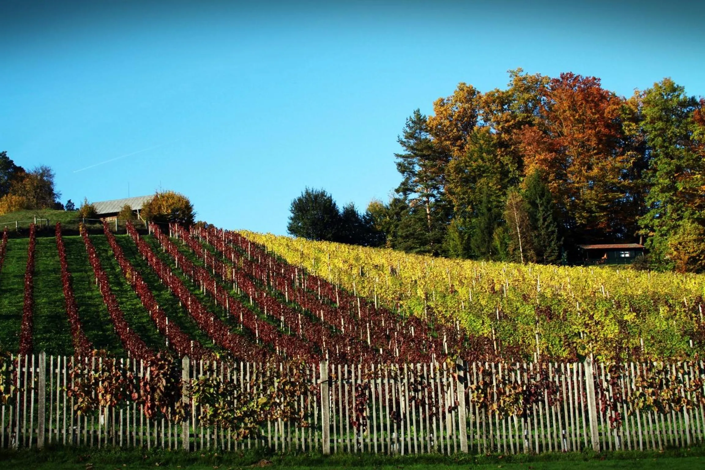 Area and facilities in Natura Amon