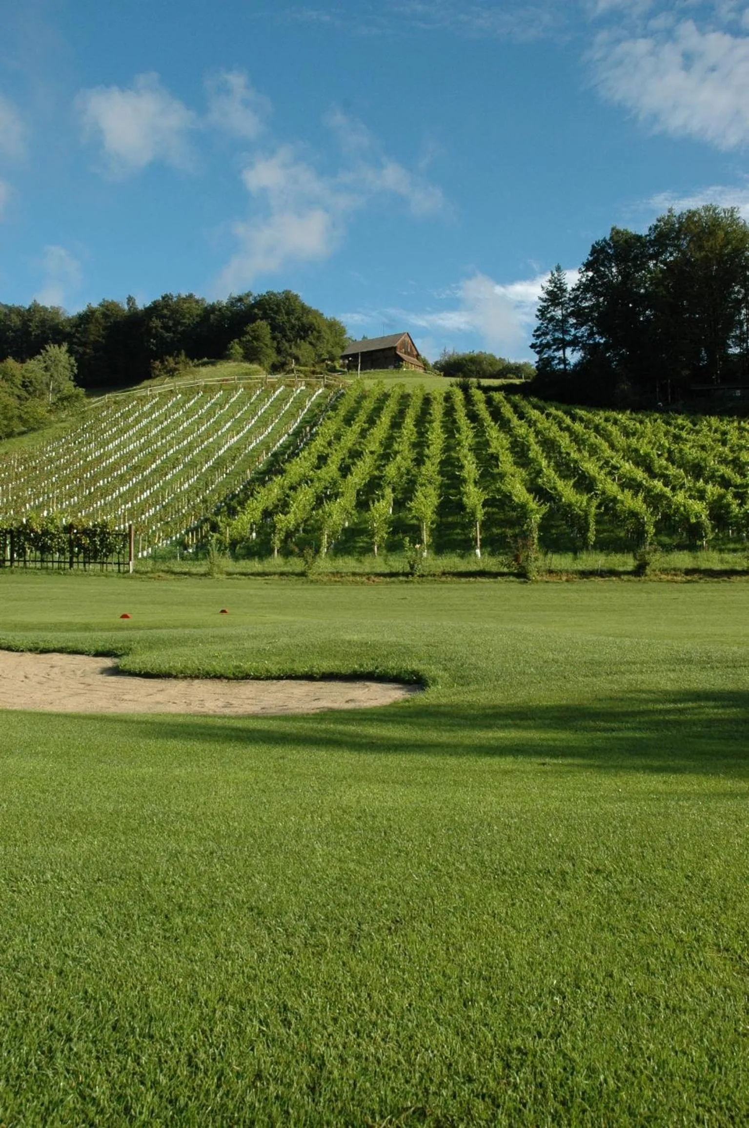 Golfcourse in Natura Amon