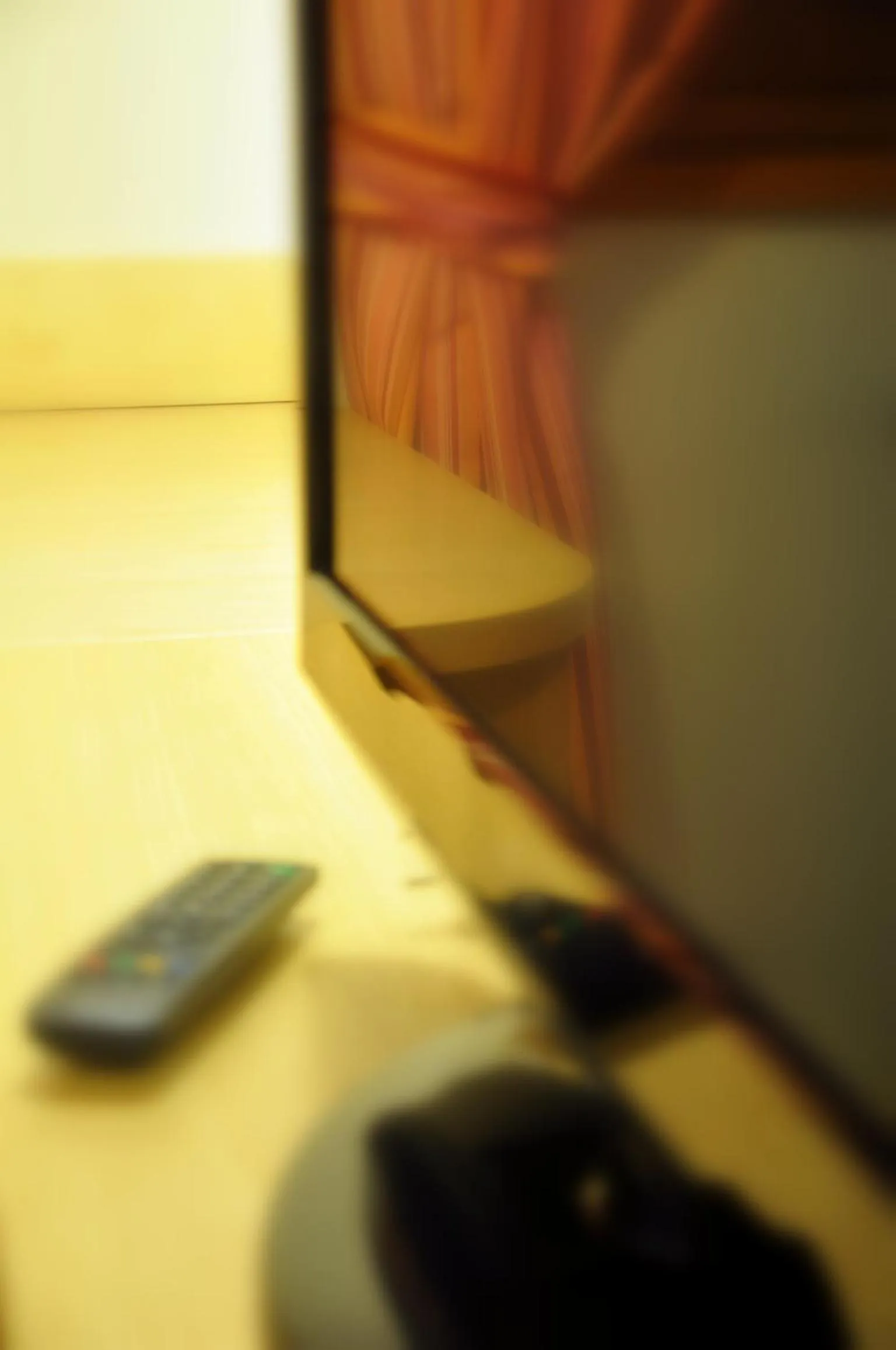 TV and multimedia in Natura Amon