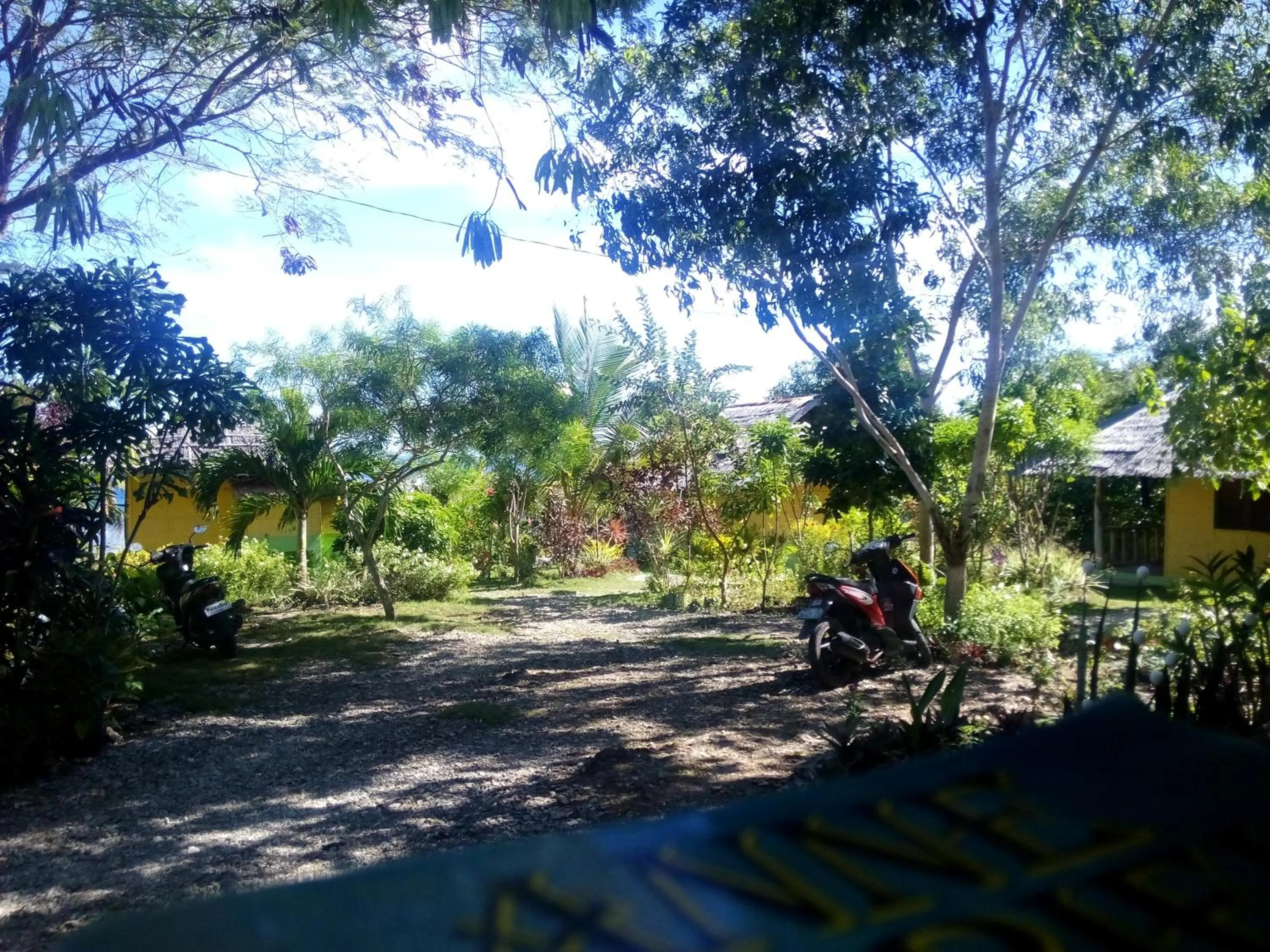 Garden in La Villa Alta