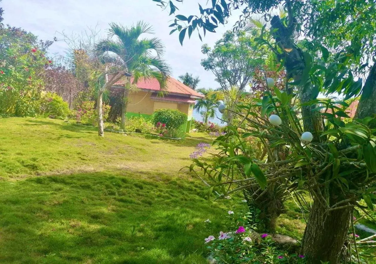 Day in La Villa Alta