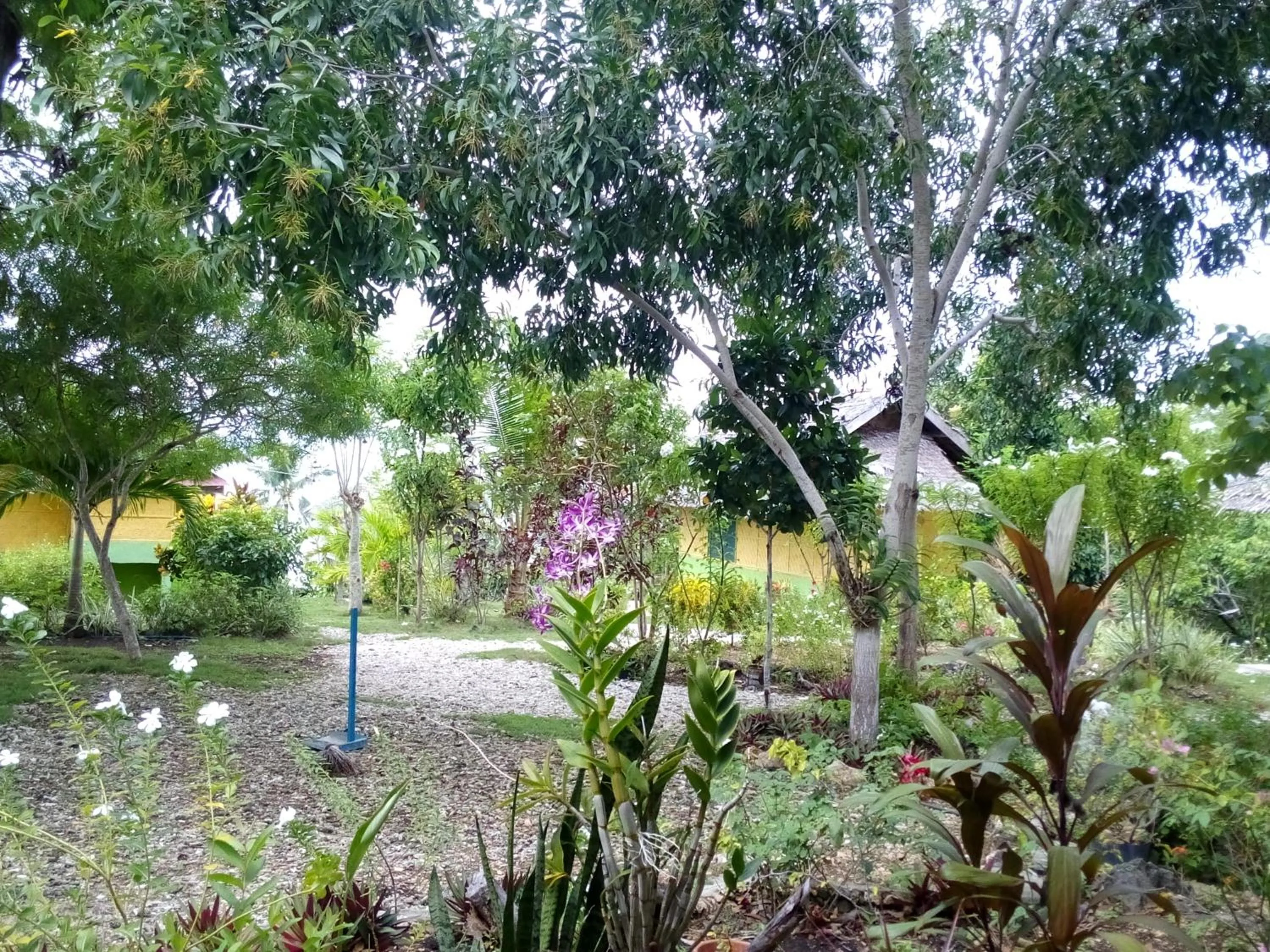 Property building in La Villa Alta