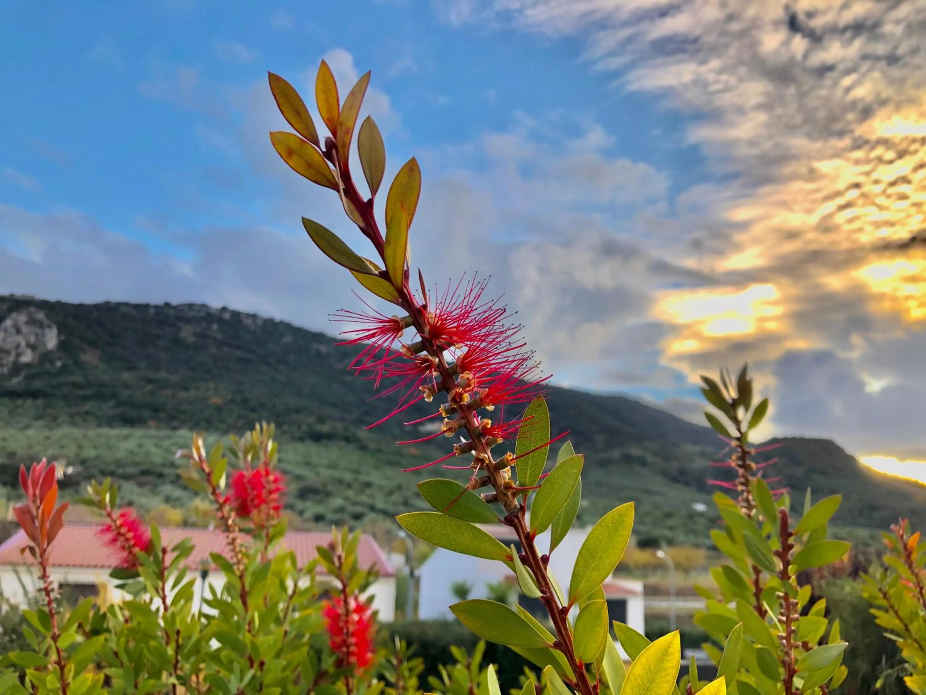 Mountain view in Hotel Mencia Subbética