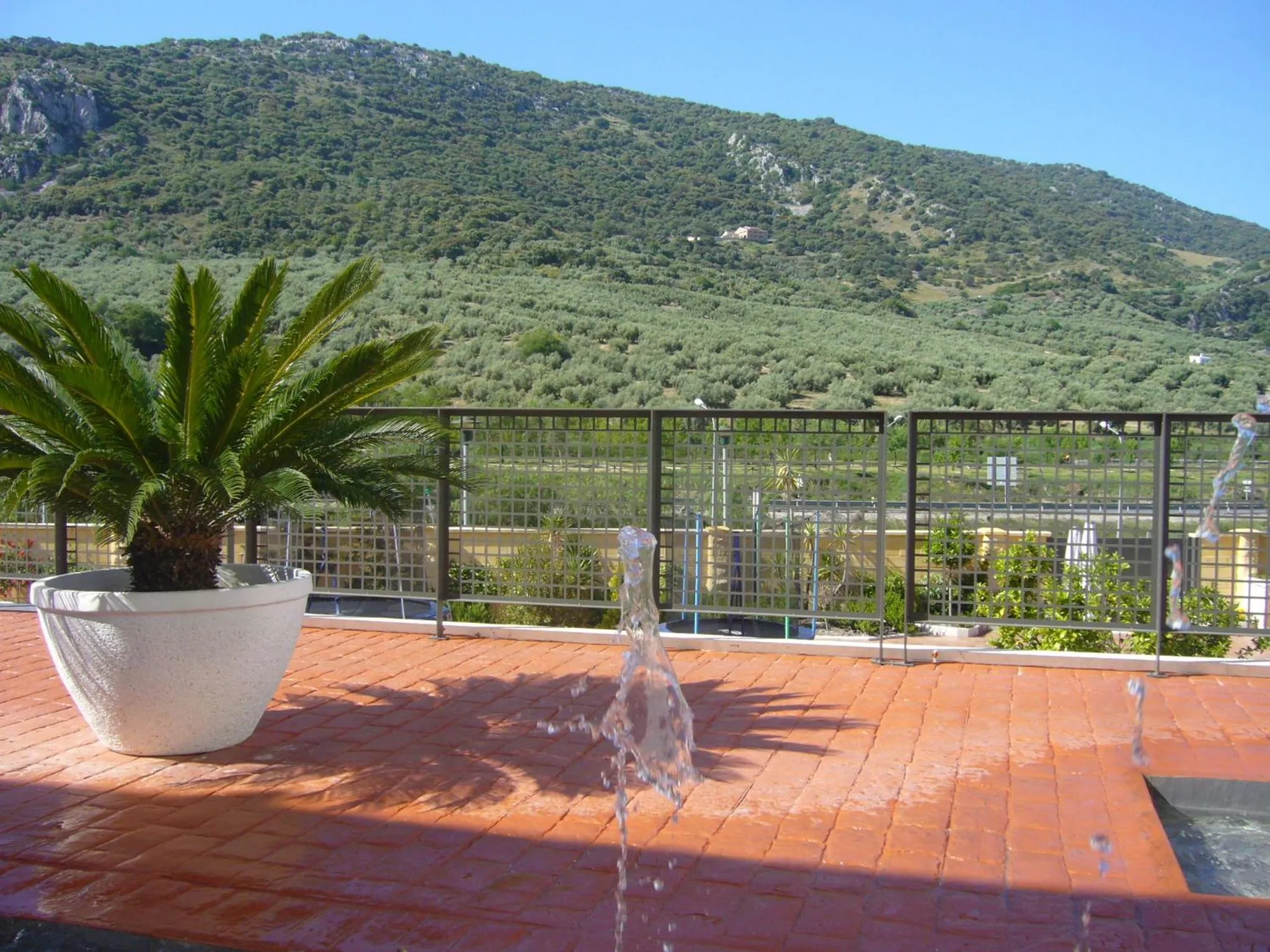 Natural landscape in Hotel Mencia Subbética