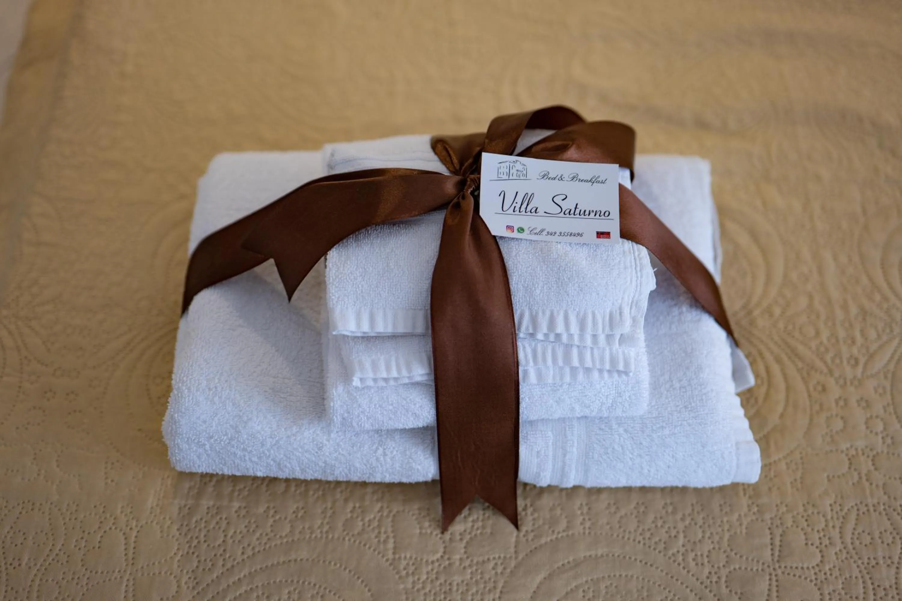 Property logo or sign in Villa Saturno