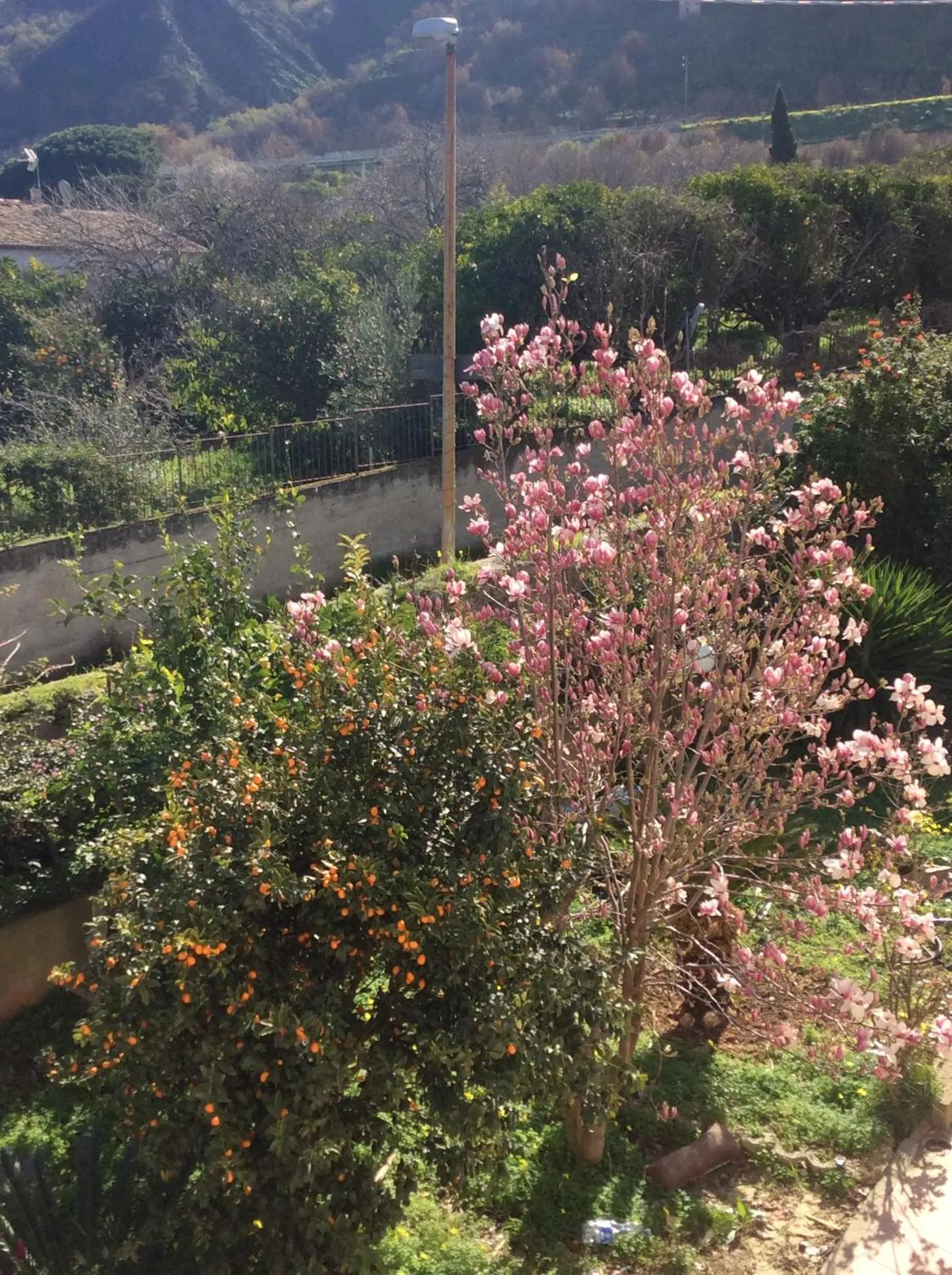 Garden in Villa Saturno