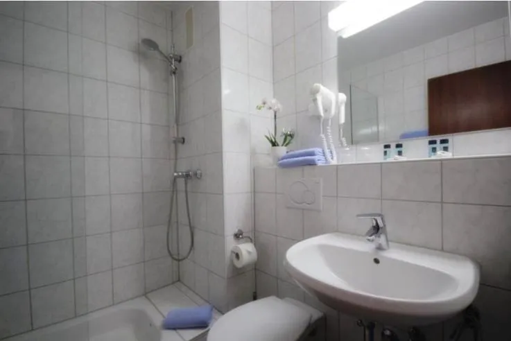 Shower in Hotel Regina