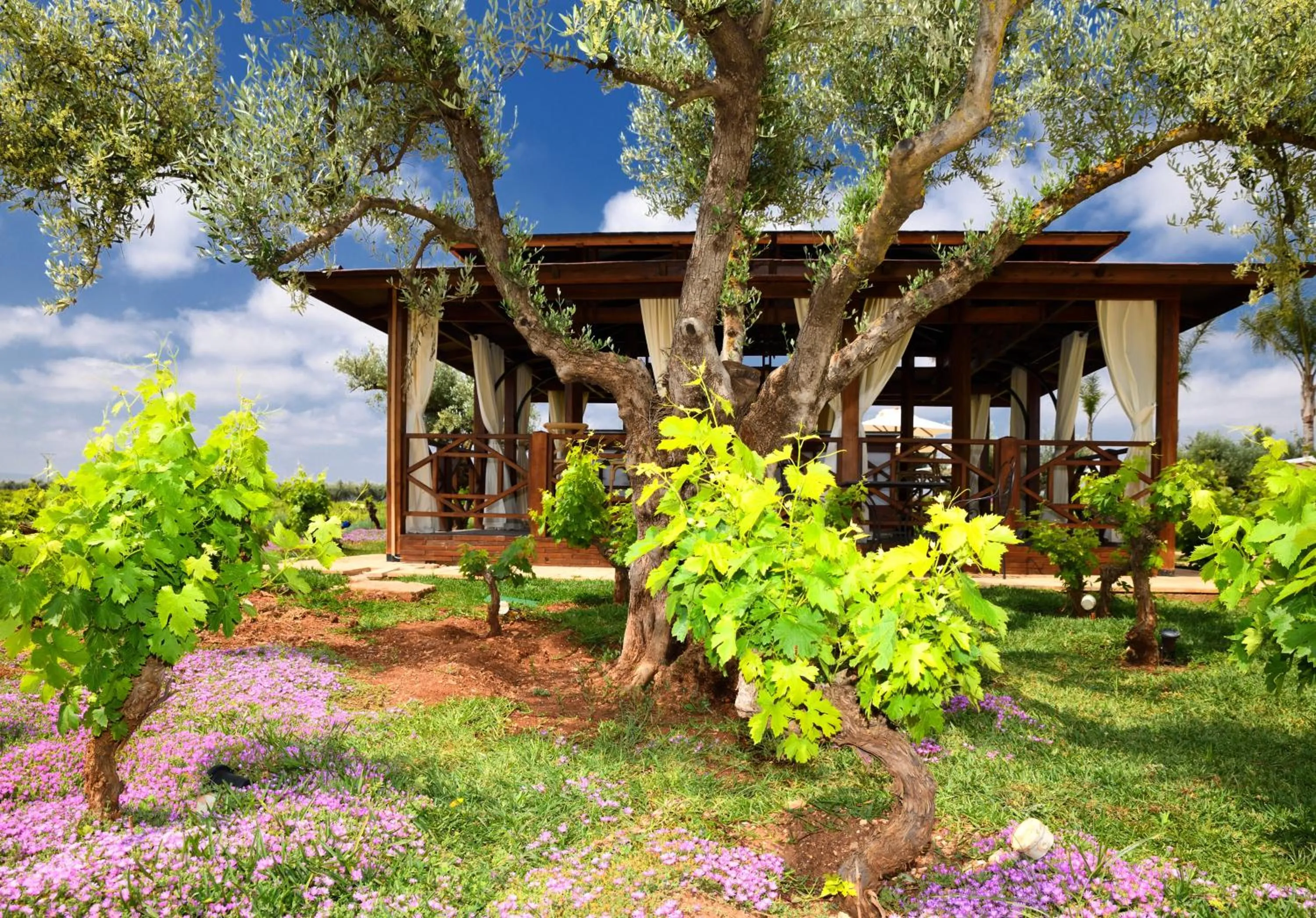 Patio in Château Roslane Boutique hôtel & Spa