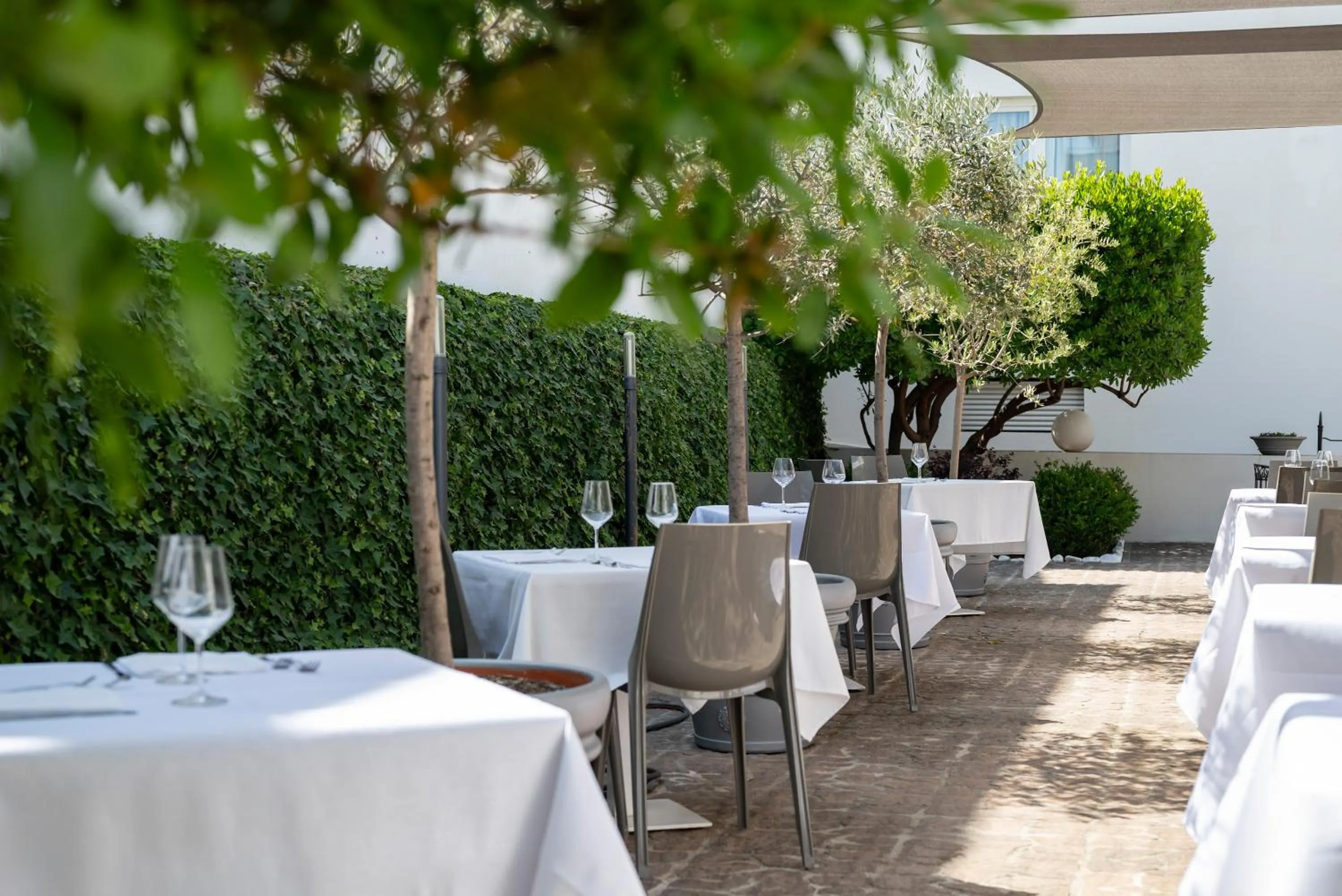 Restaurant/places to eat in Hotel La Pineta