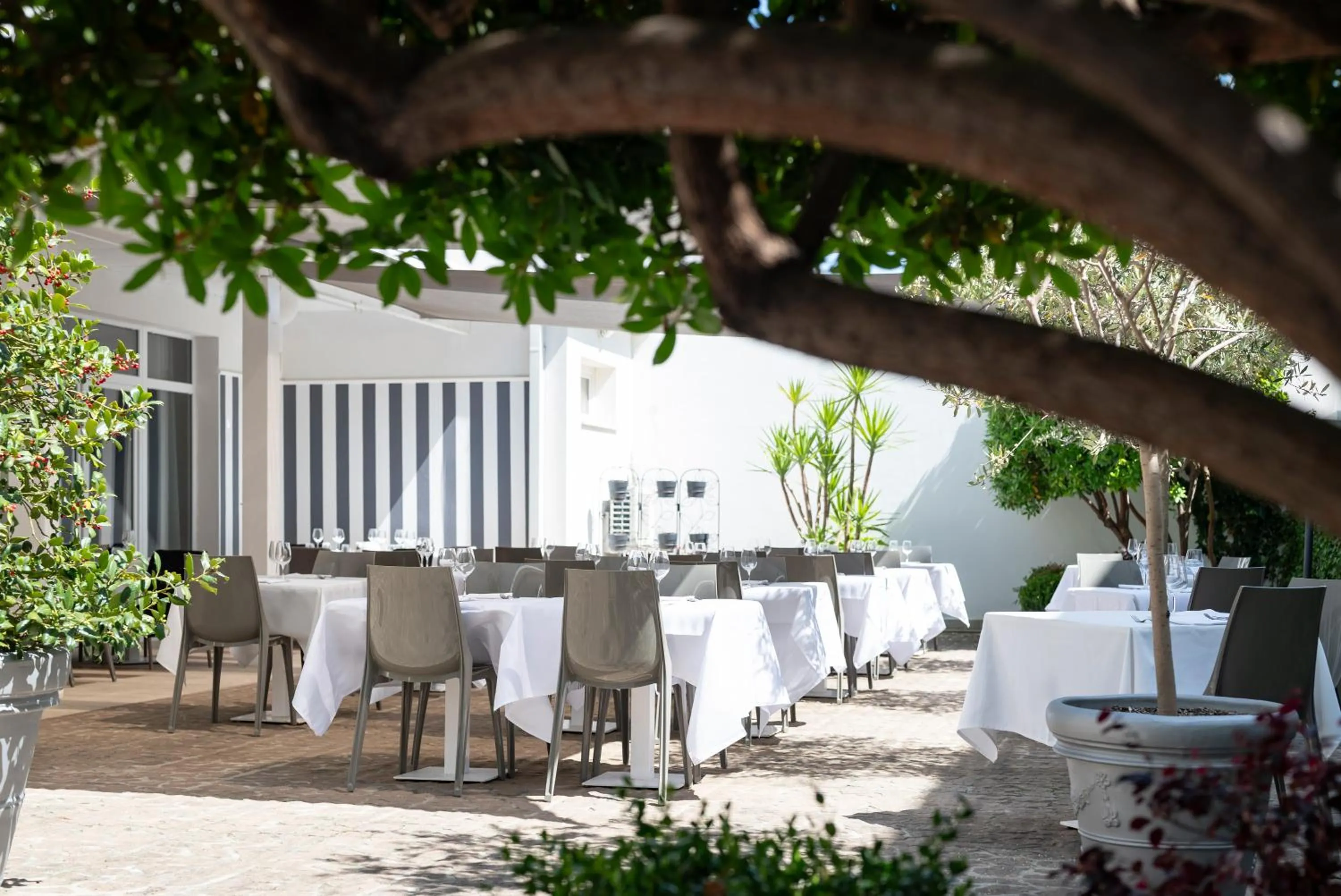 Restaurant/places to eat in Hotel La Pineta