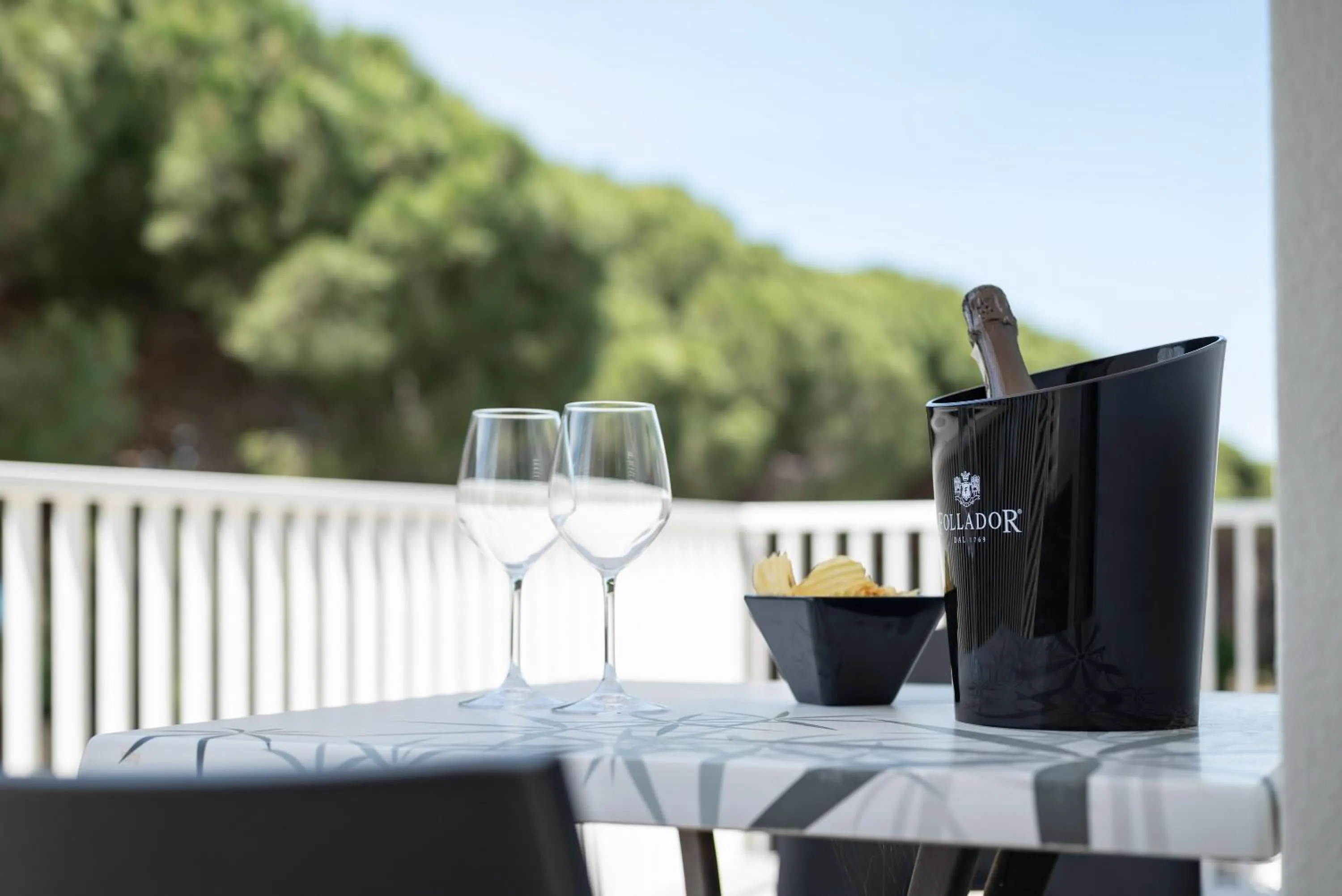 Balcony/Terrace in Hotel La Pineta