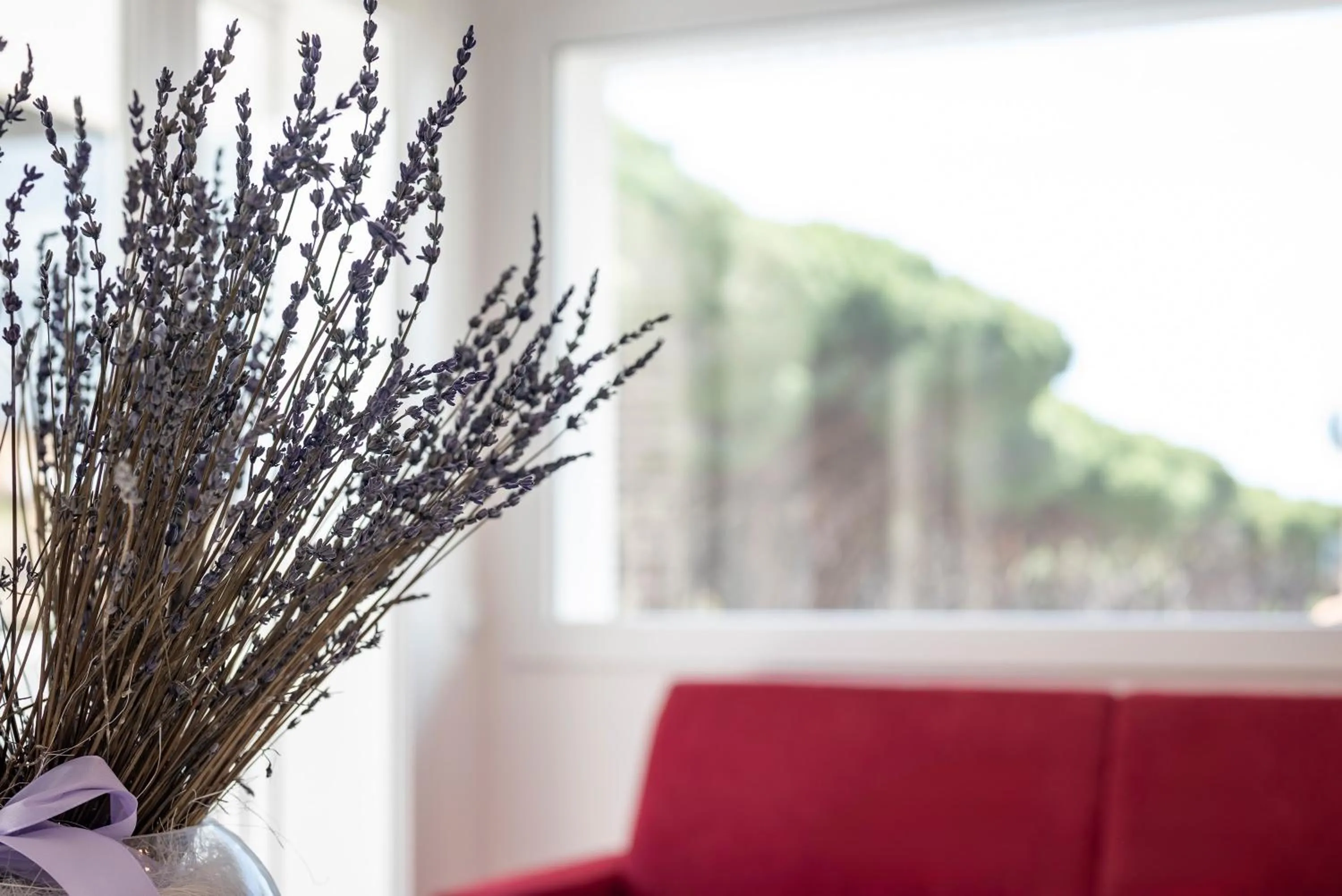 Seating area in Hotel La Pineta