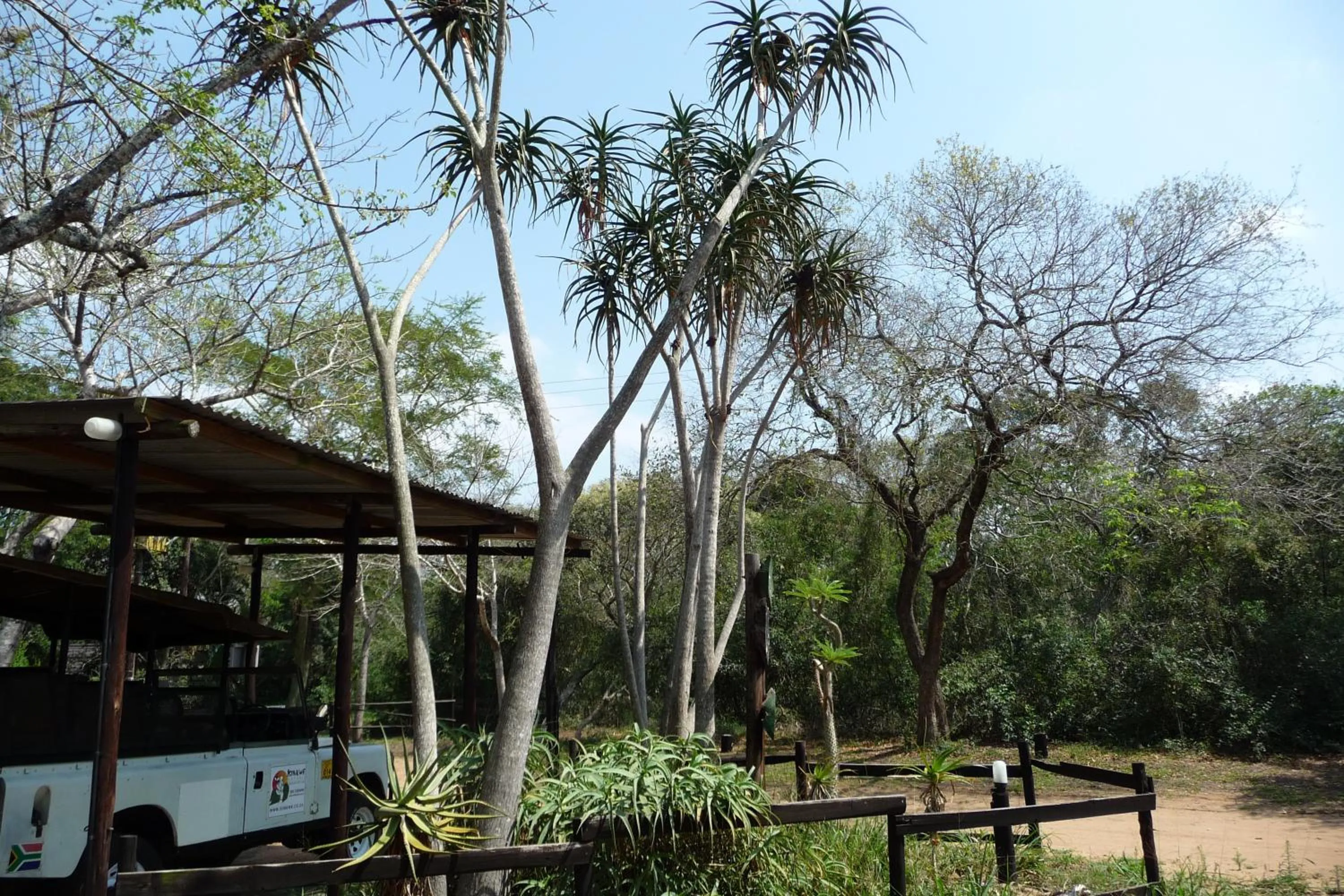 Isinkwe Bush Camp
