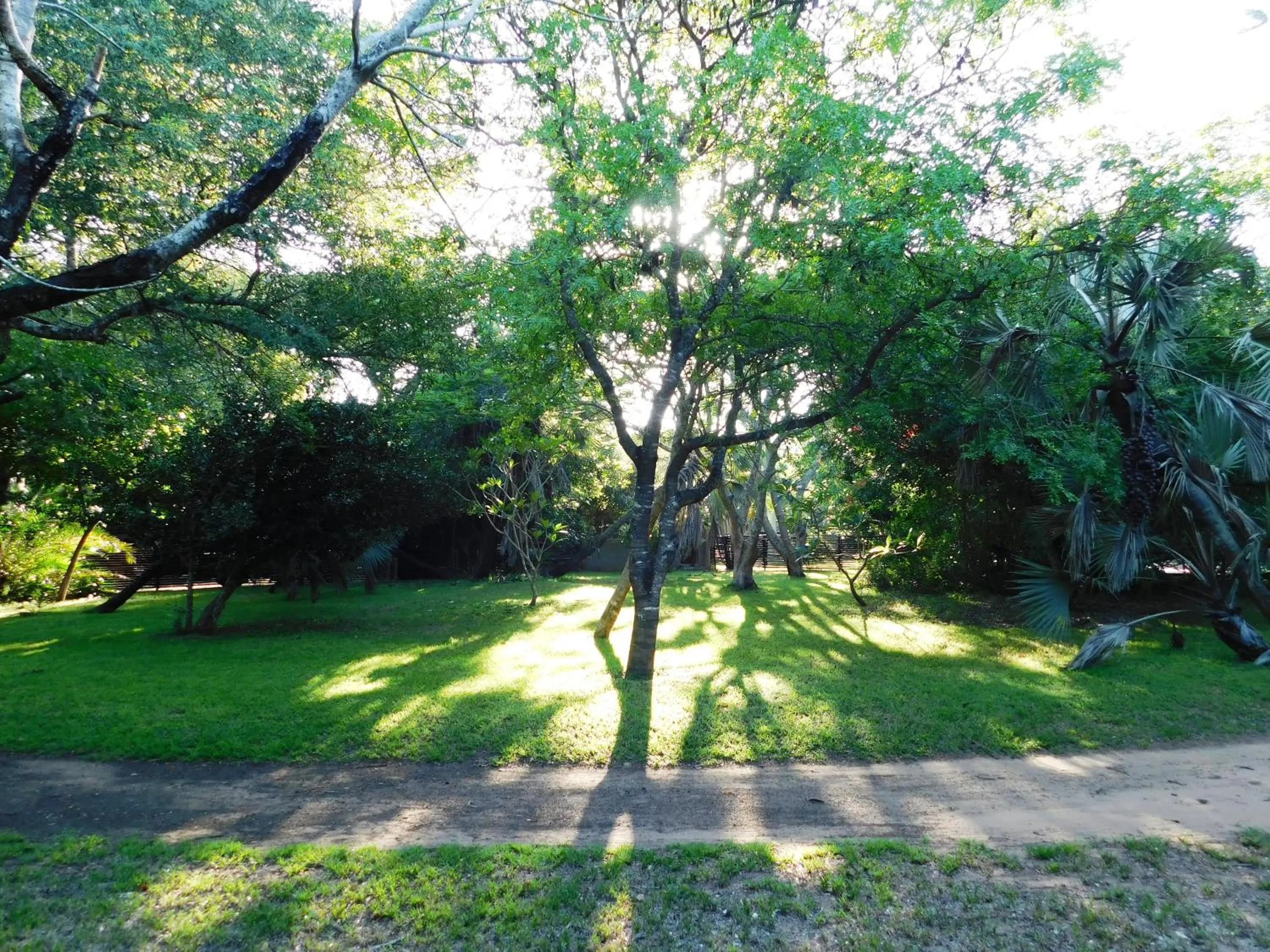 Natural landscape in Isinkwe Bush Camp