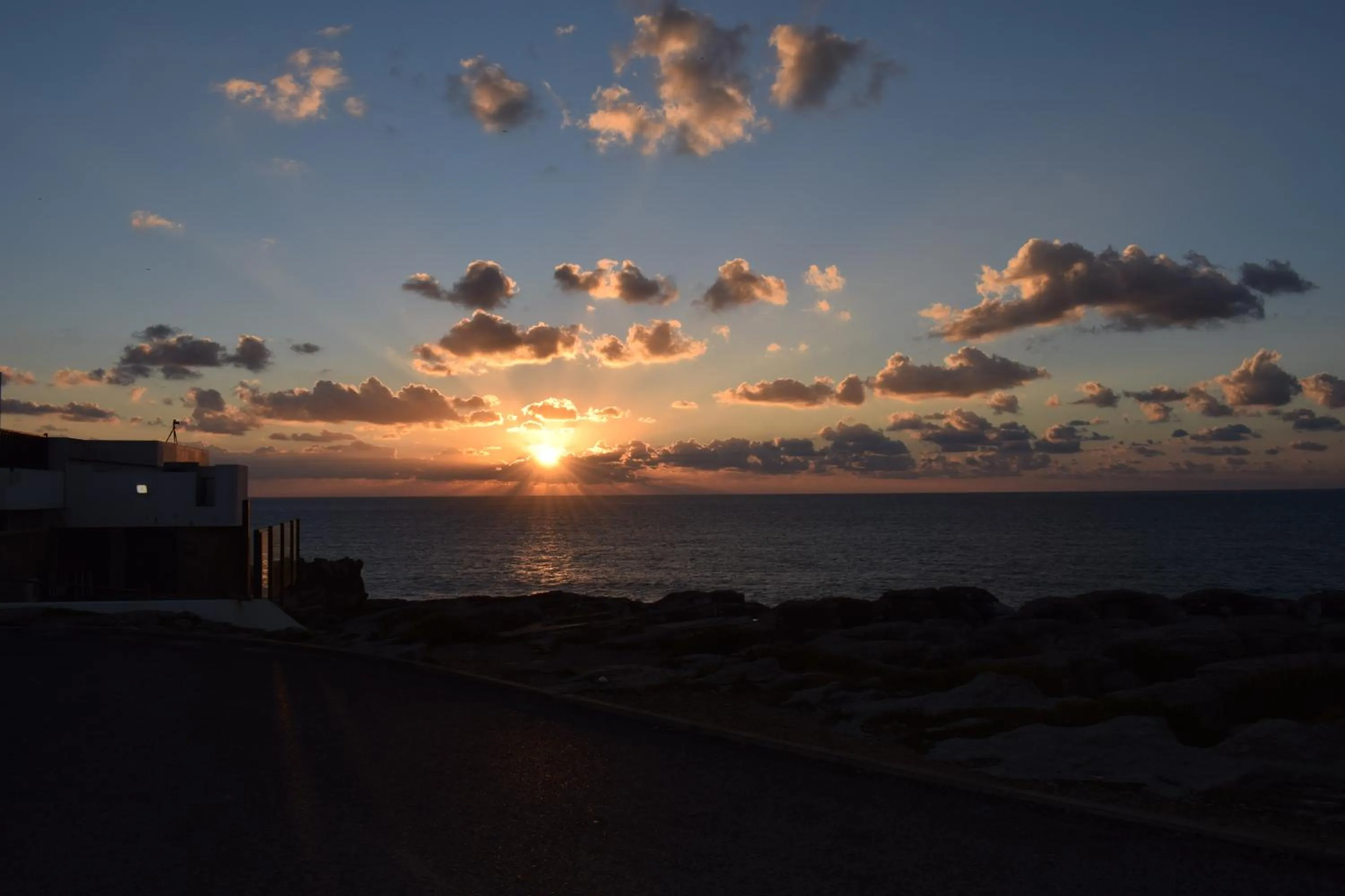 Natural landscape in Captain's Log House