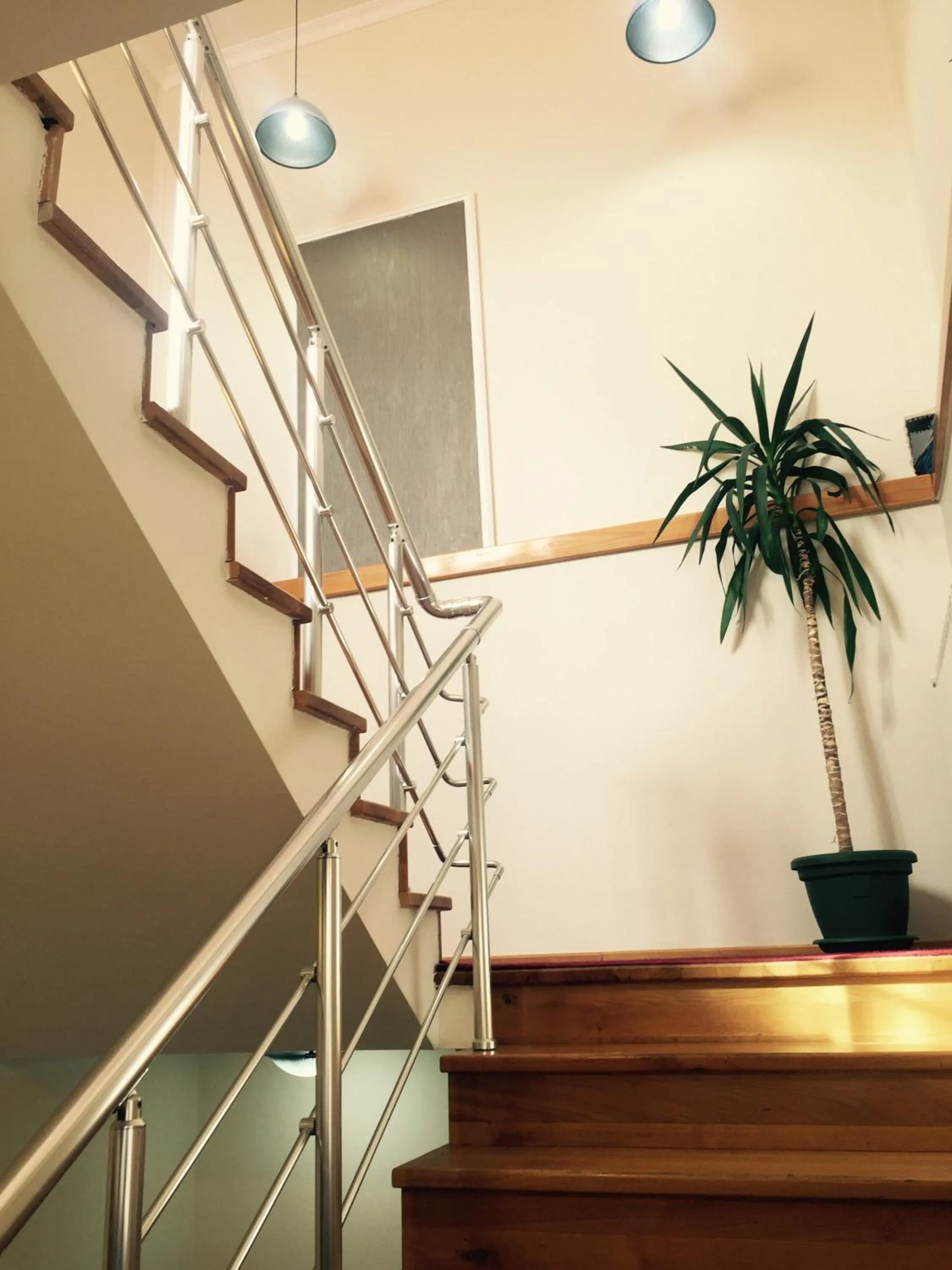 Area and facilities in Accommodation Tara