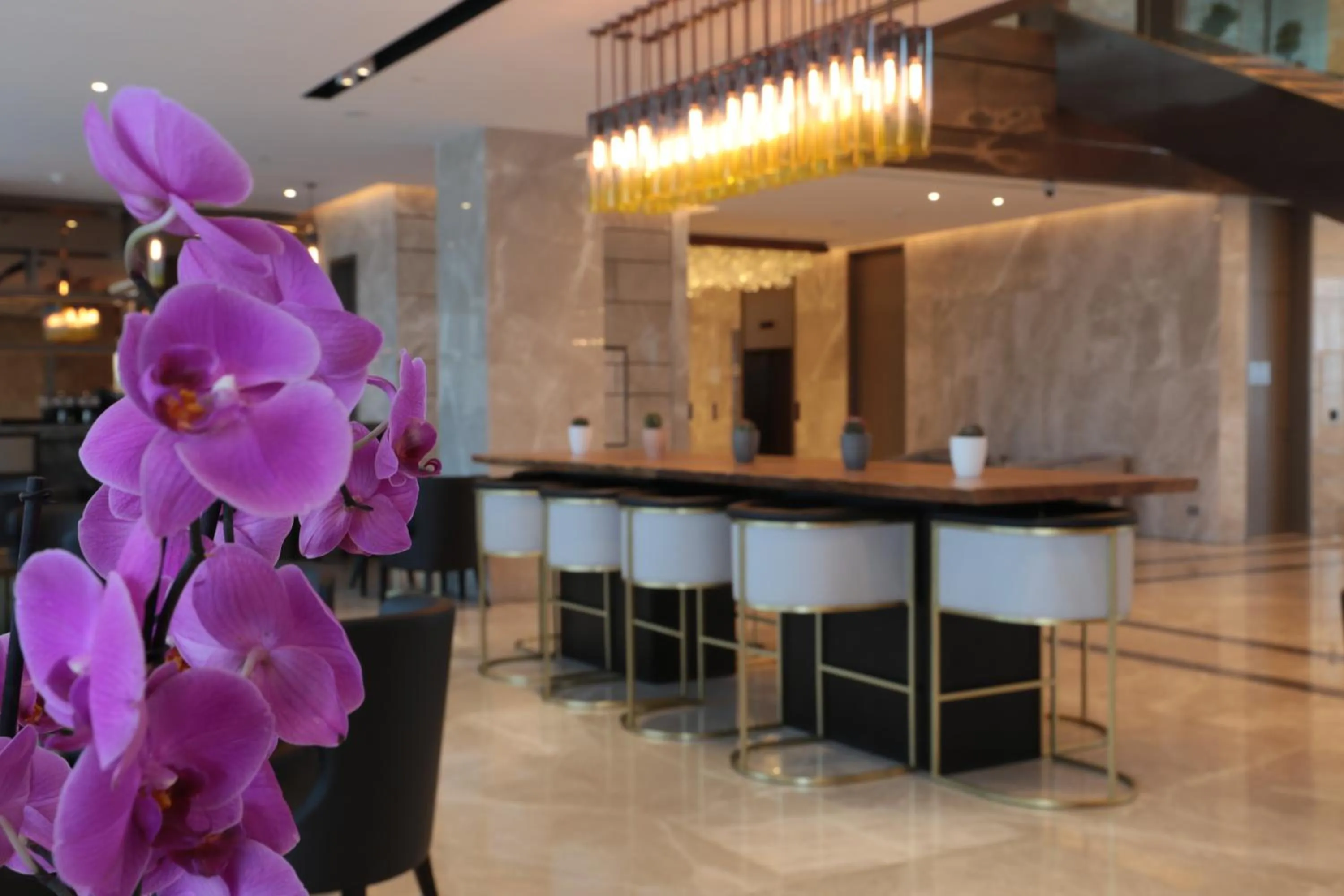 Lounge or bar in Views Hotel & Residences - Emaar King Abdullah Economic City