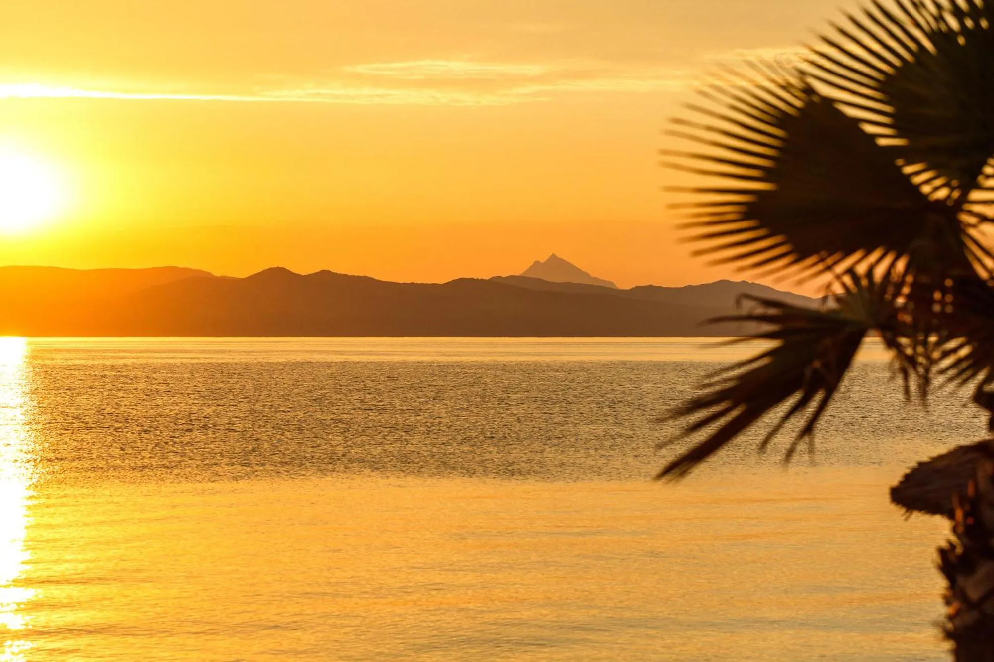 Natural landscape in Marabou Hotel