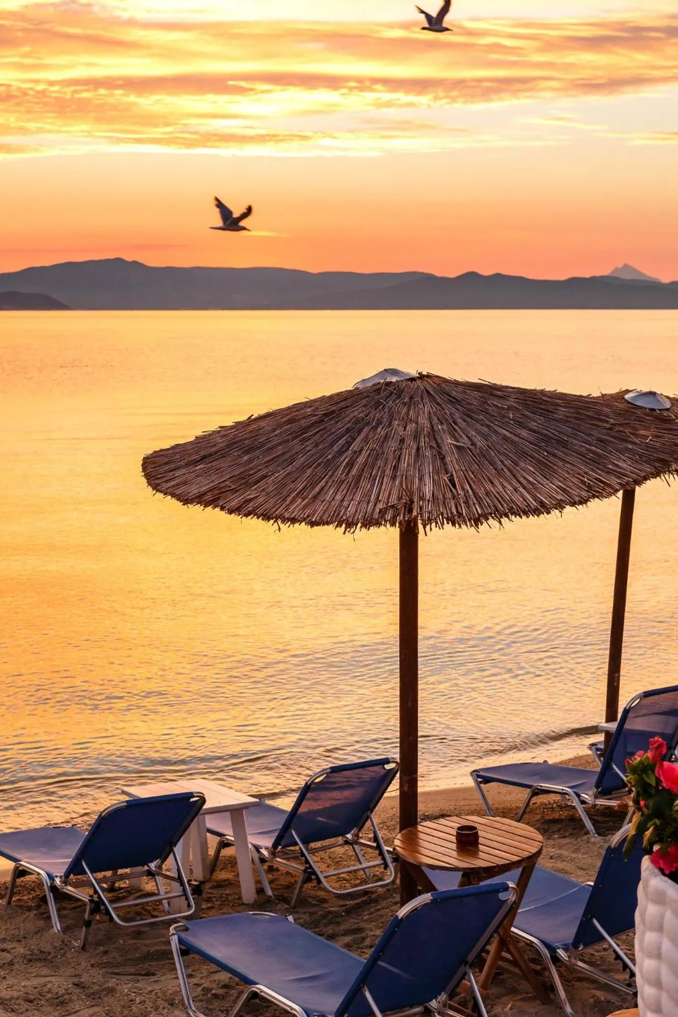 Natural landscape in Marabou Hotel