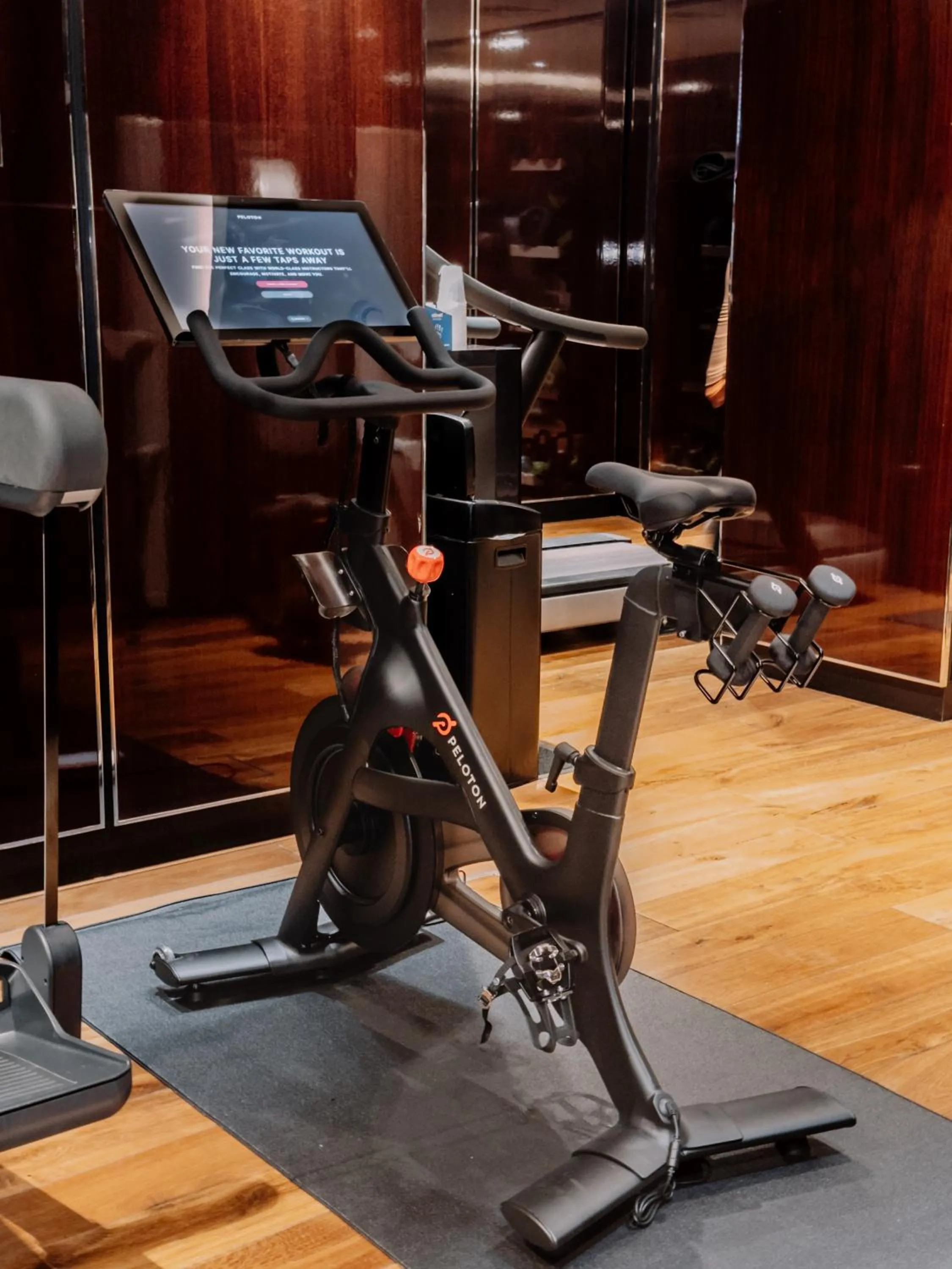 Fitness centre/facilities in Hyatt Regency London Albert Embankment