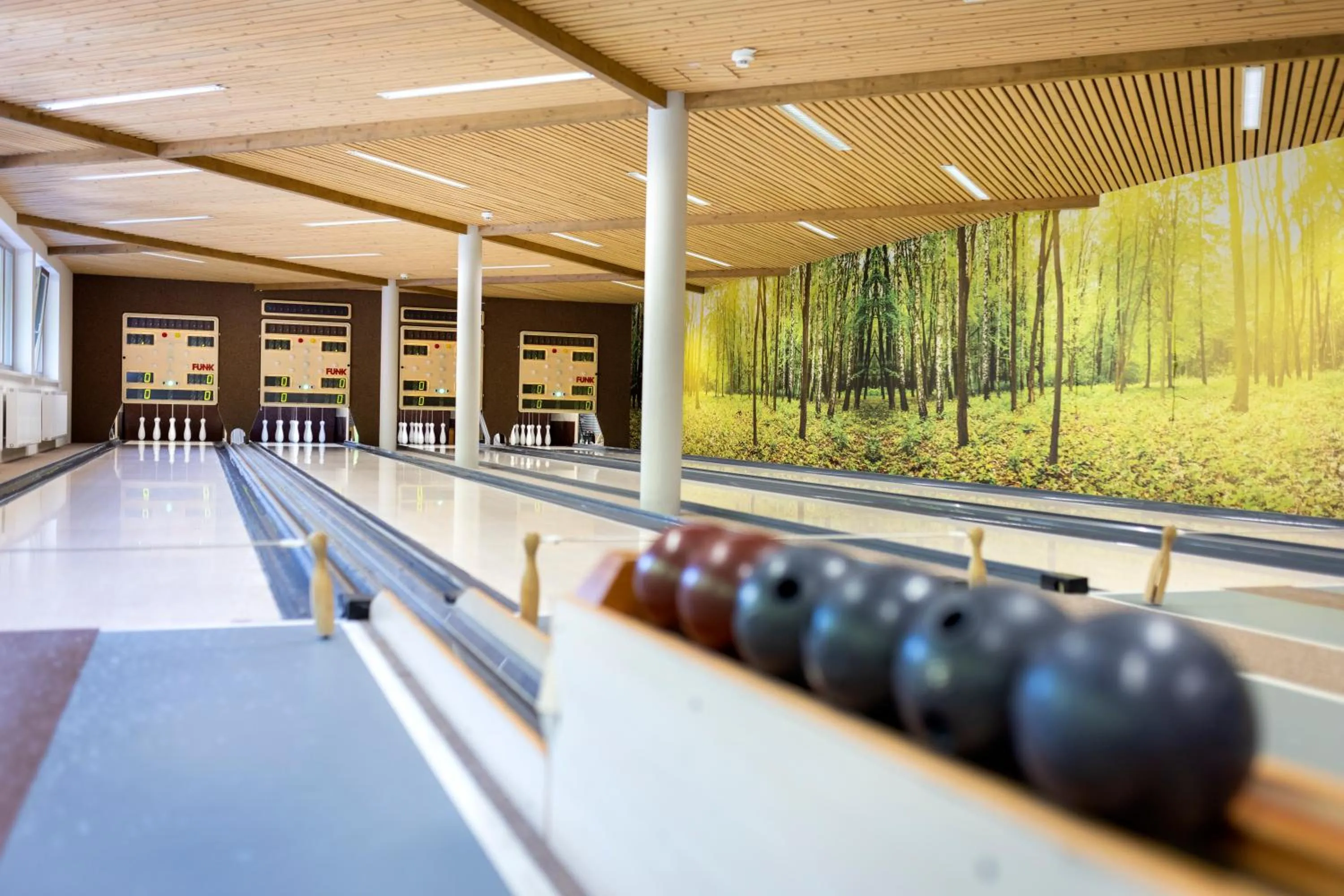 Bowling in JUFA Hotel Bruck an der Mur - im Weitental