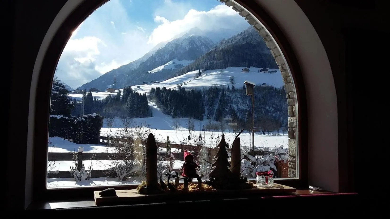 Garden view in Alphotel Mittersill