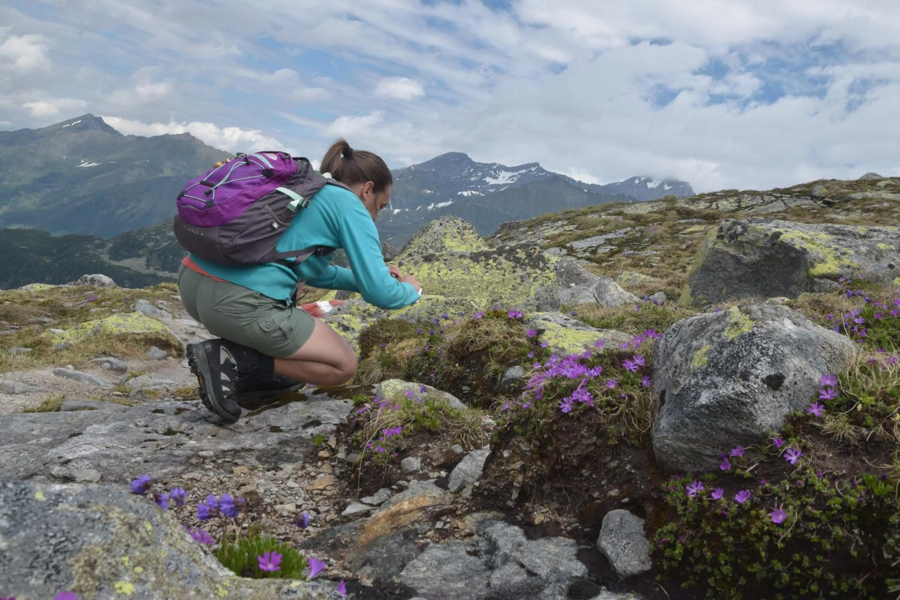 Hiking in Alphotel Mittersill