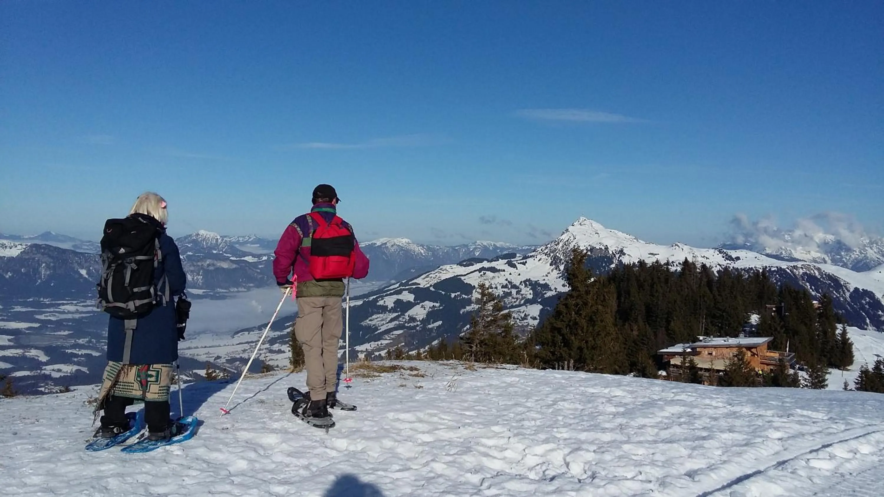 Sports in Alphotel Mittersill