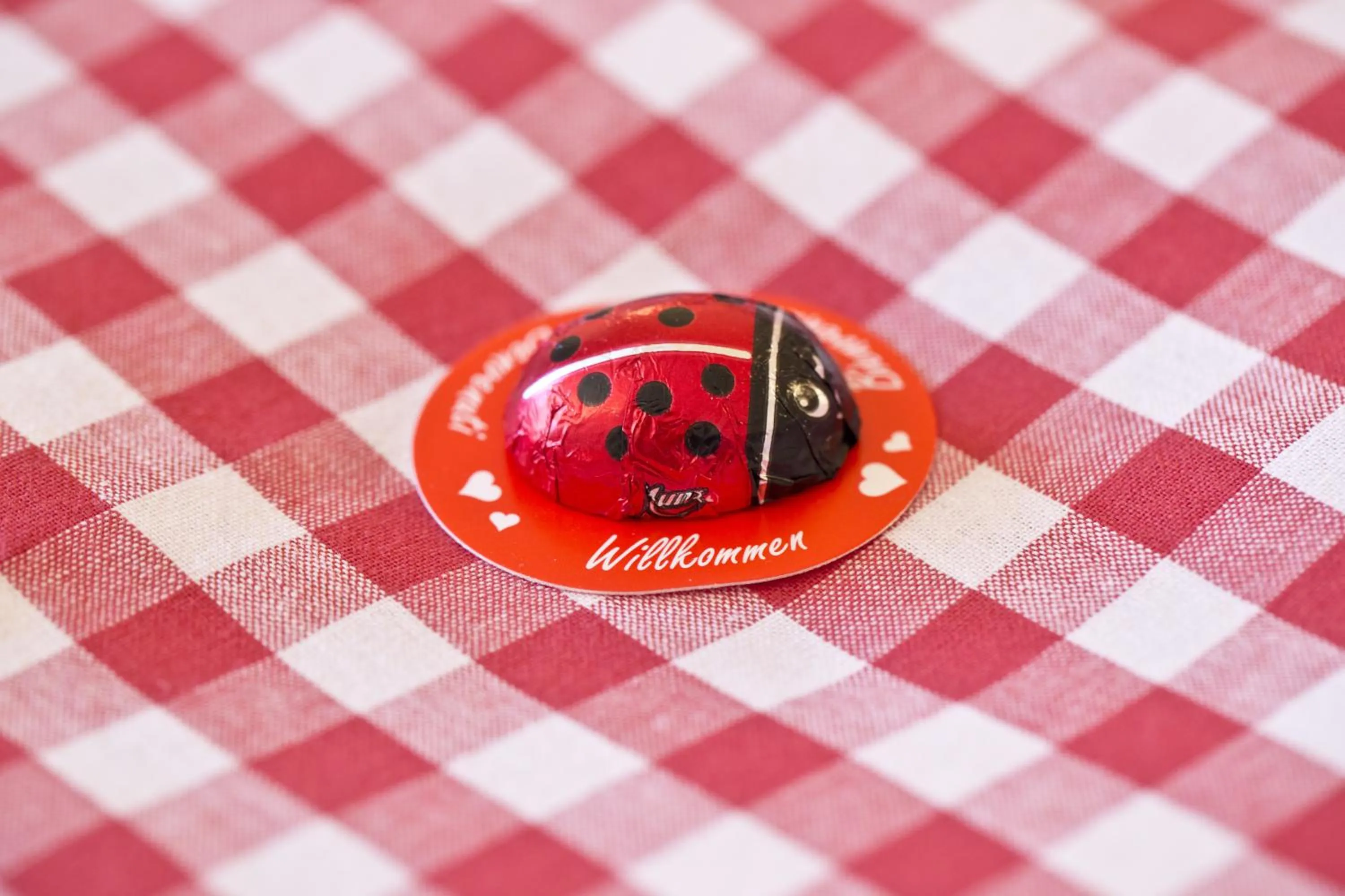 Decorative detail in Alphotel Mittersill