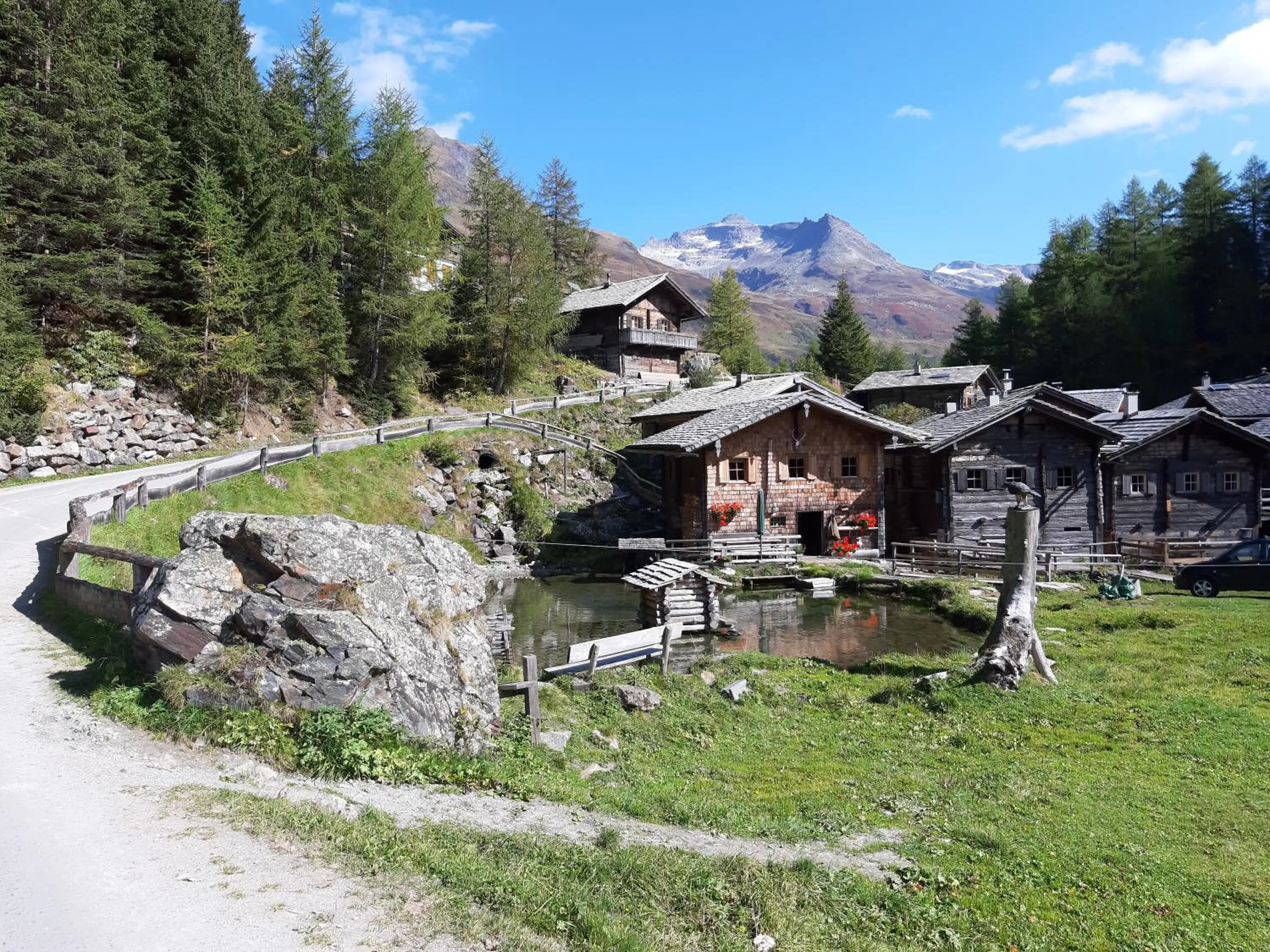 Natural landscape in Alphotel Mittersill