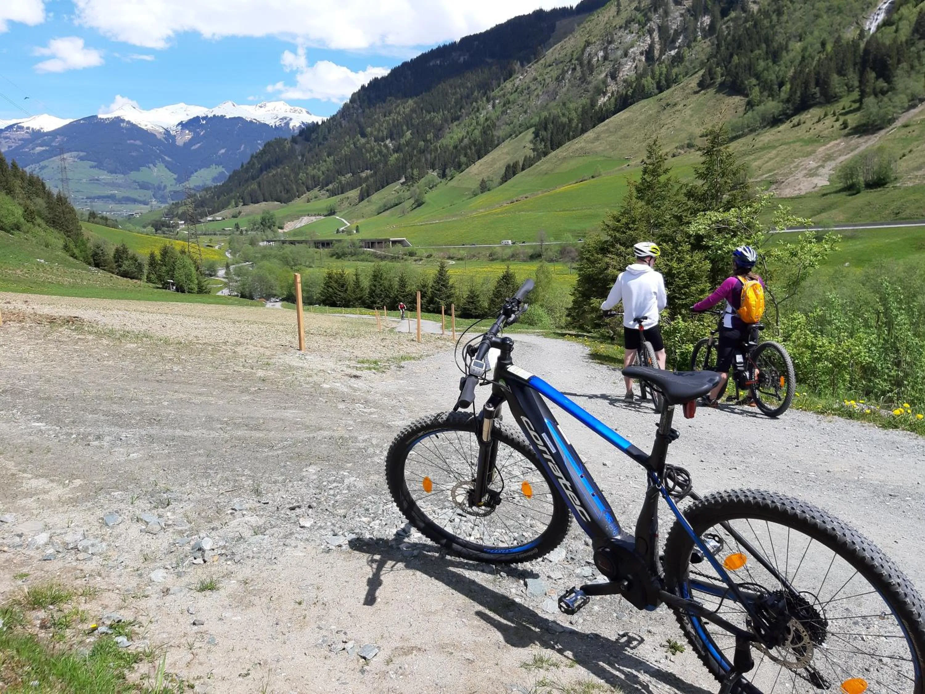 Natural landscape in Alphotel Mittersill