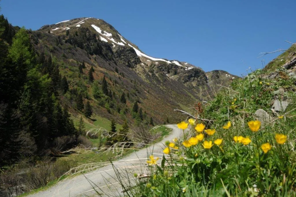 Hiking in Alphotel Mittersill