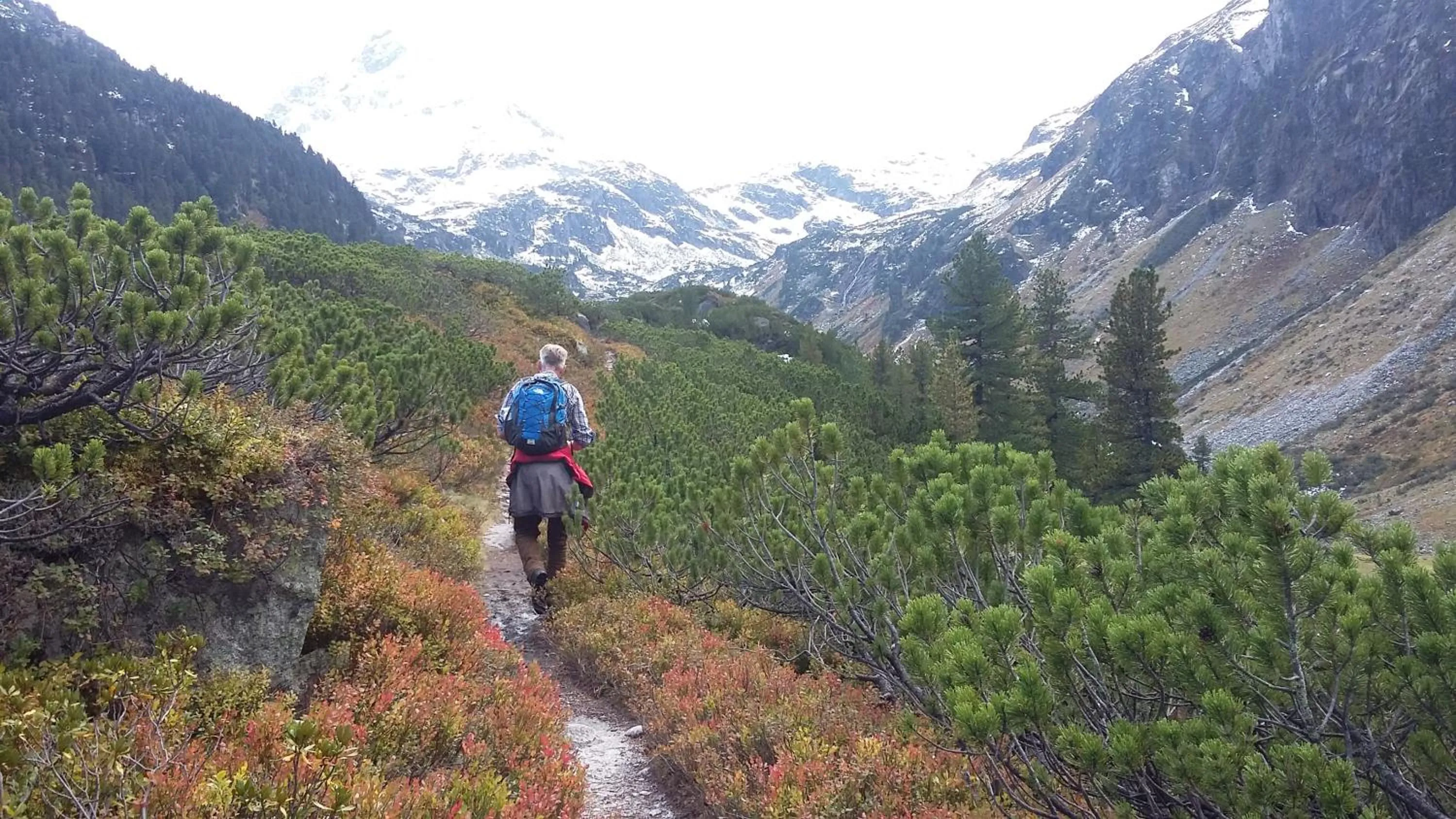 Hiking in Alphotel Mittersill