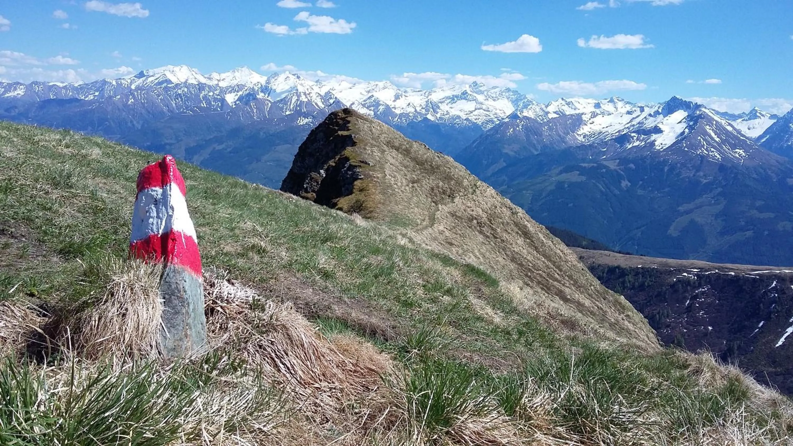 Natural landscape in Alphotel Mittersill
