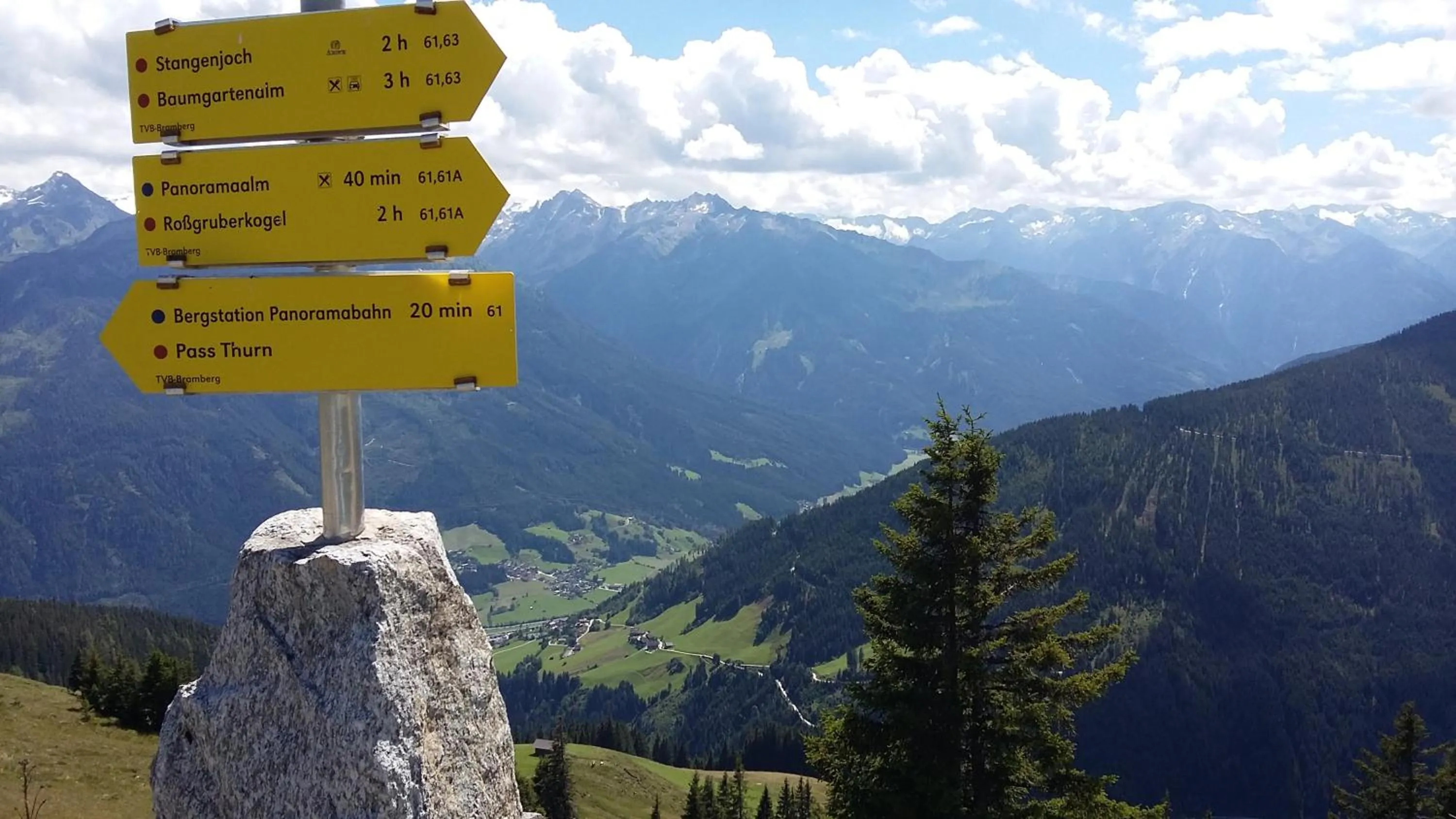 Natural landscape in Alphotel Mittersill