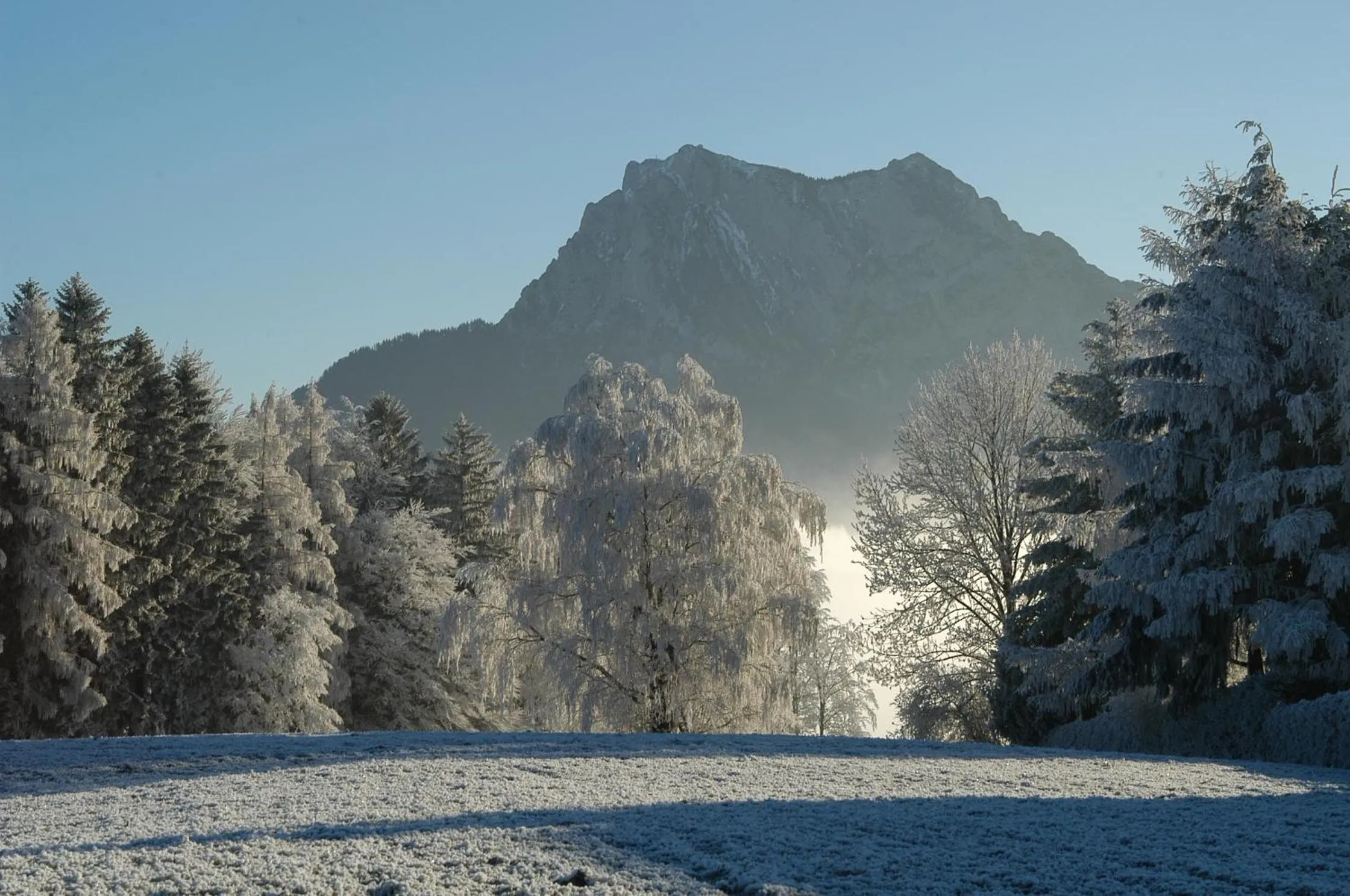 Area and facilities in Hotel Altmünsterhof